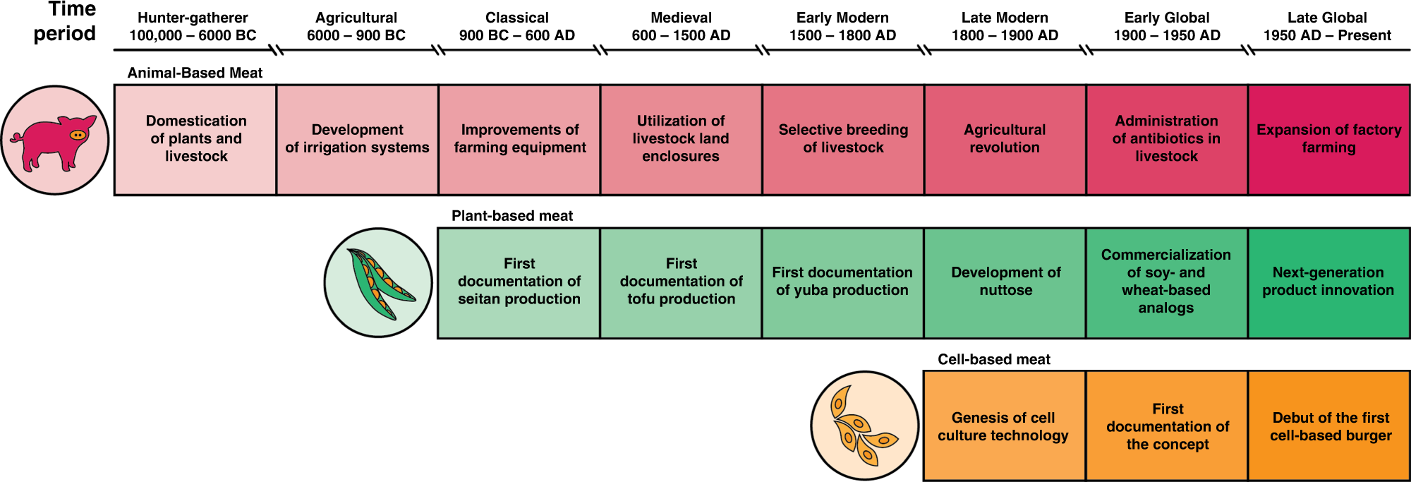 Plant-based and cell-based approaches to meat production | Nature  Communications