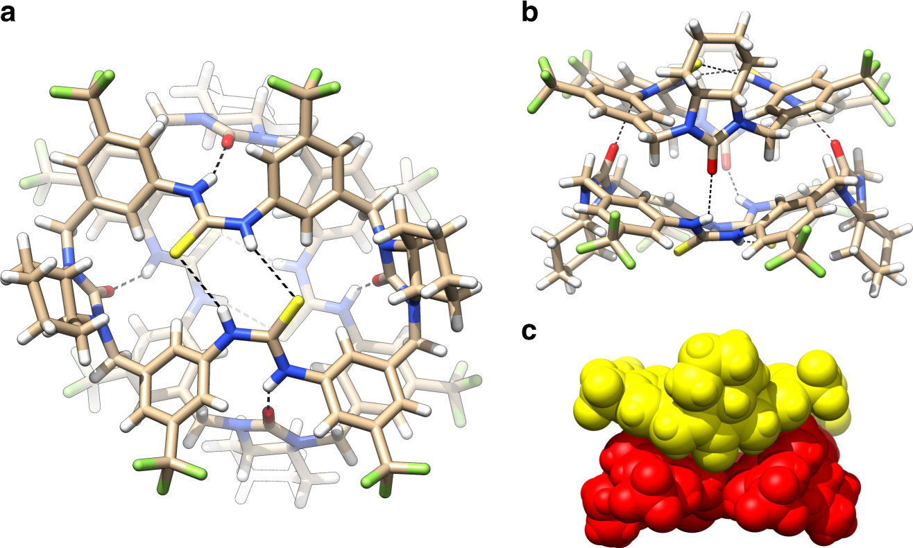 Fig. 2: Crystal structure of the dimeric capsule M2.