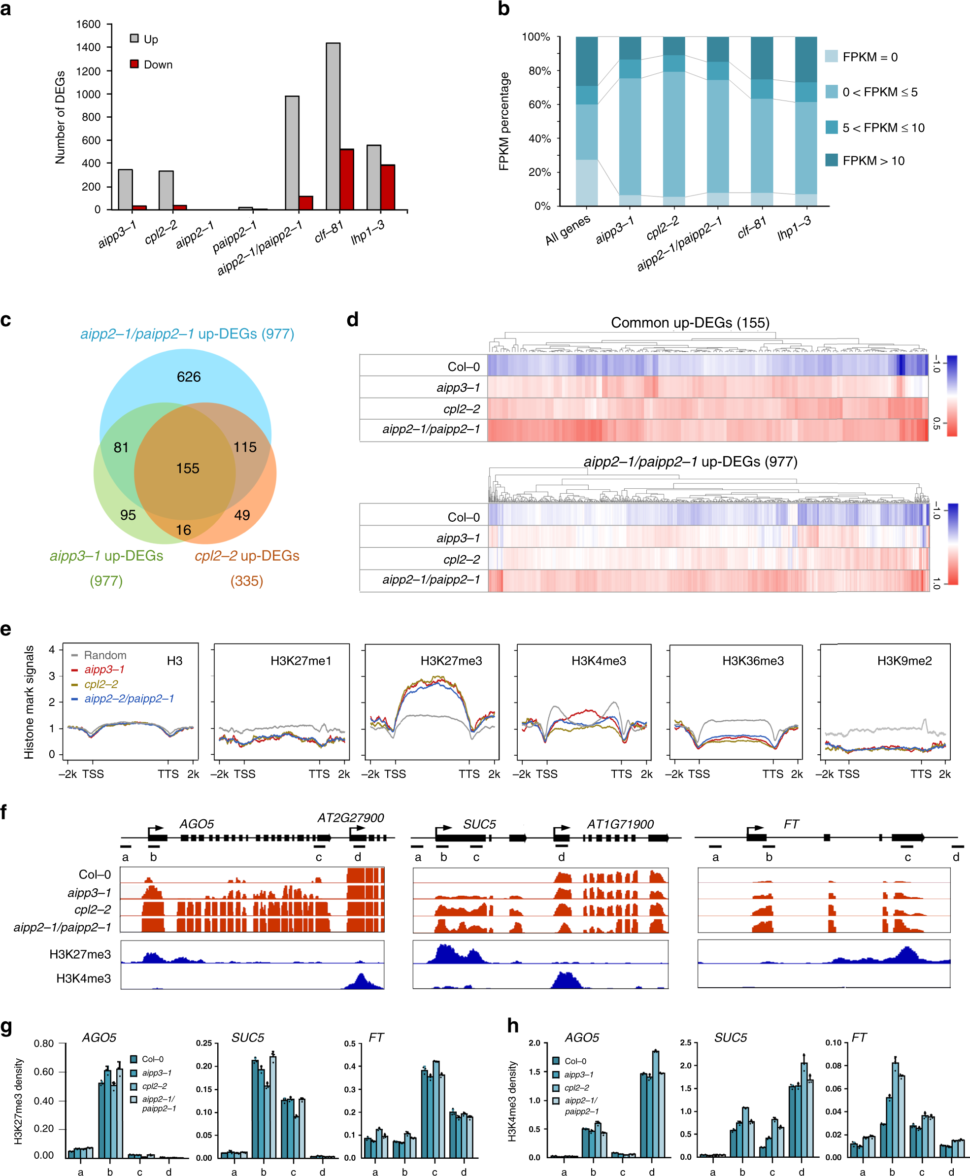 Fig. 4: BAH–PHD–CPL2 complex represses the expression of H3K27me3-enriched genes.