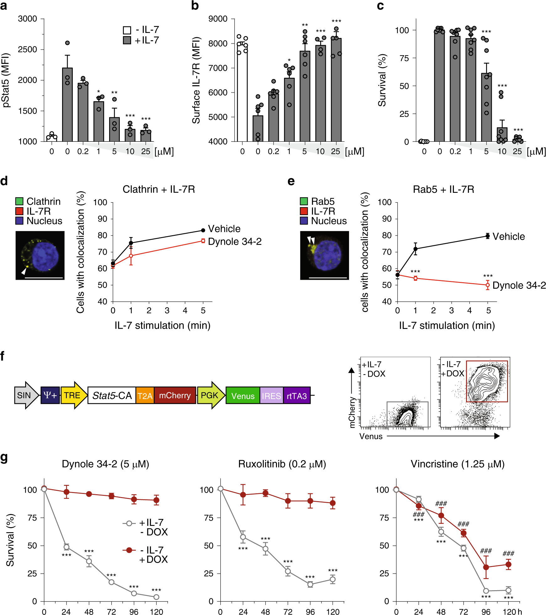 Small molecule inhibition of Dynamin-dependent endocytosis targets multiple  niche signals and impairs leukemia stem cells | Nature Communications