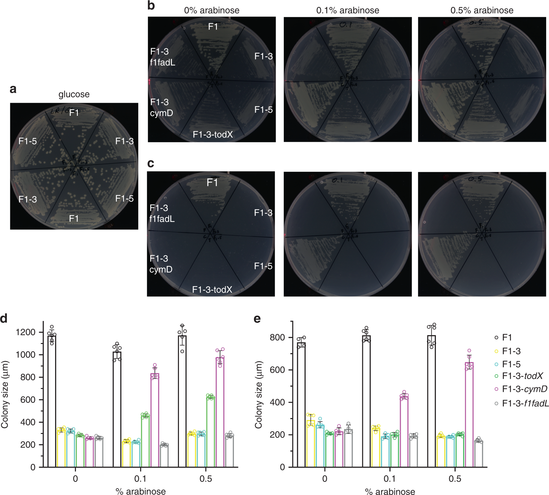 Uptake of monoaromatic hydrocarbons during biodegradation by FadL  channel-mediated lateral diffusion | Nature Communications