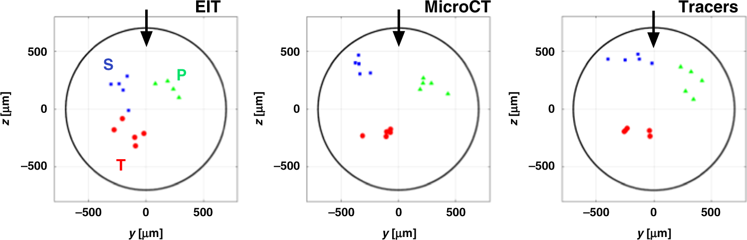 Fig. 5: Centers of mass (CoMs) of fascicles.