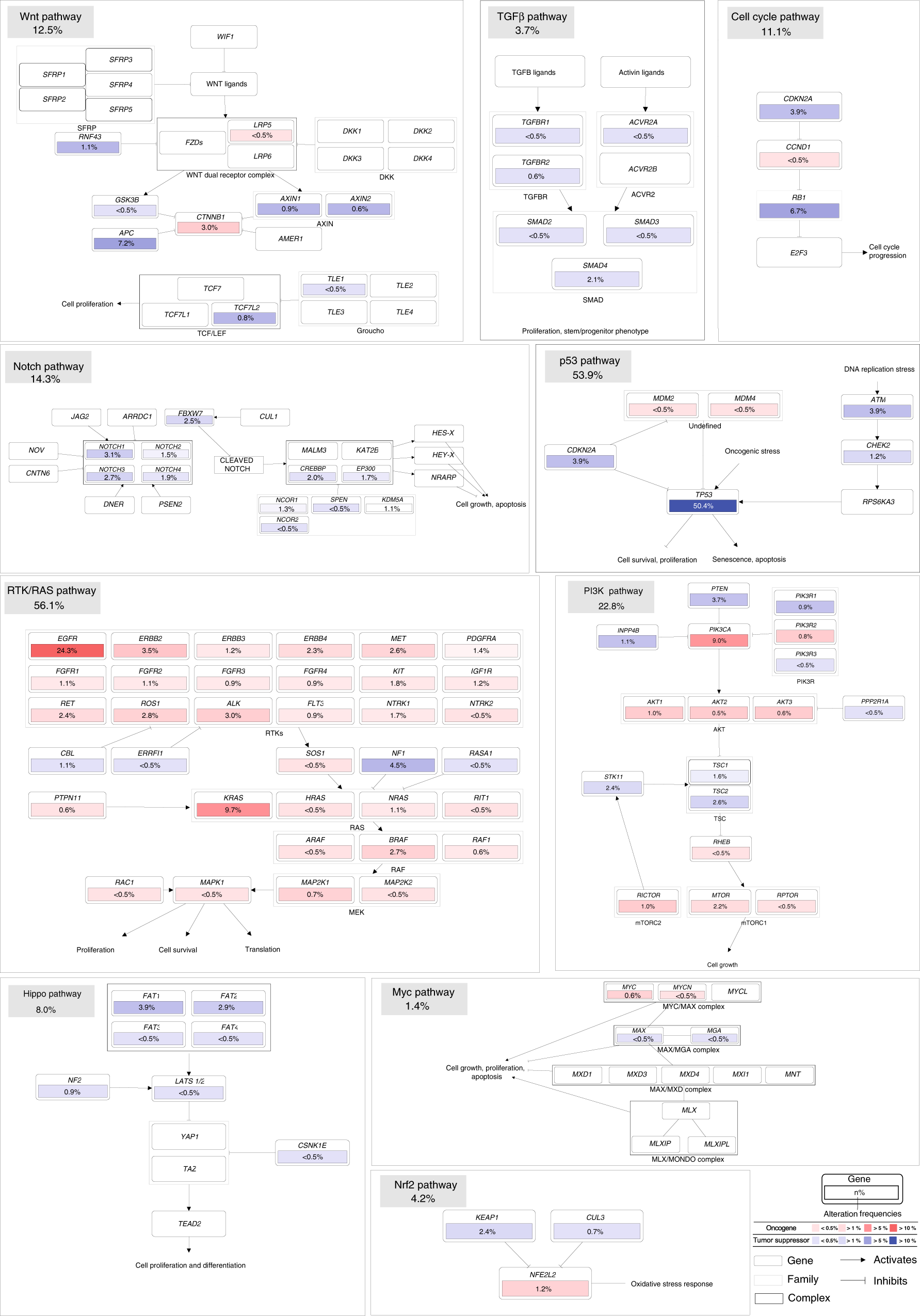 Fig. 4: Pathway members and interactions in the ten selected pathways.