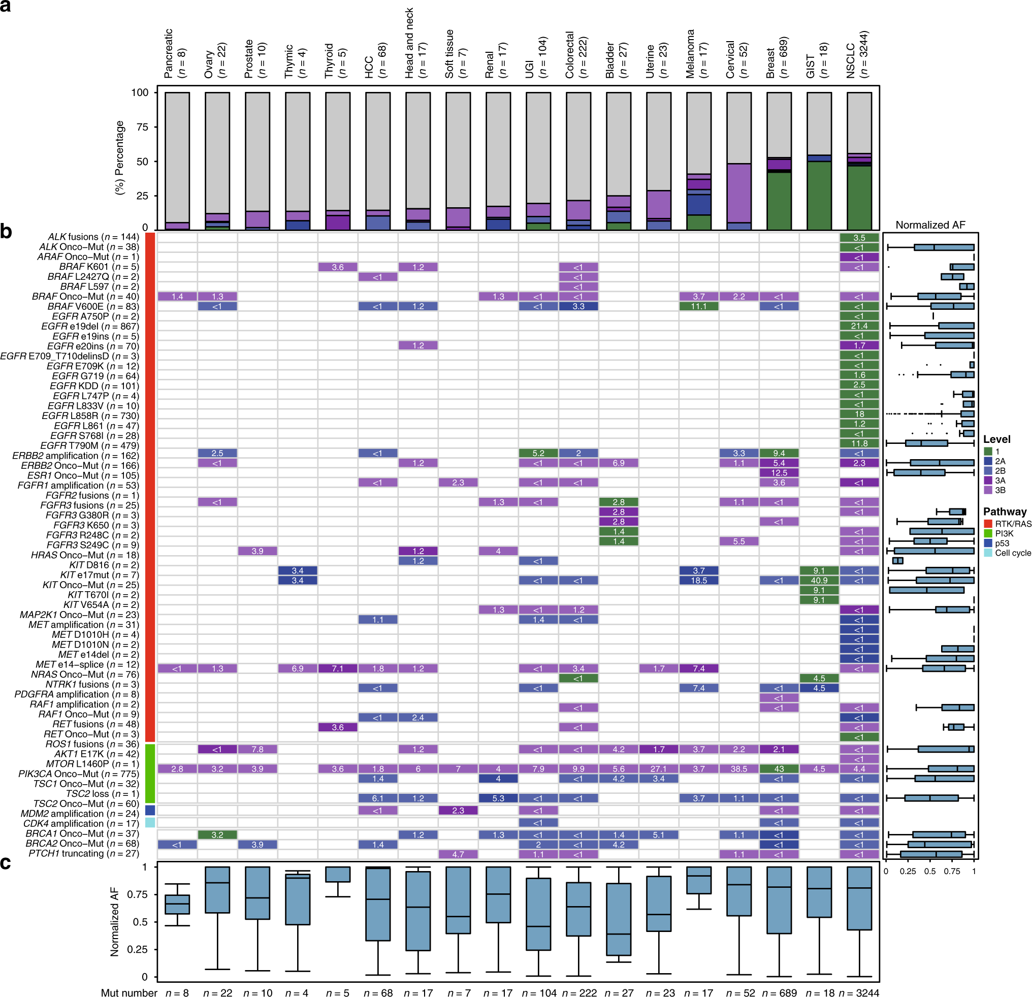 Fig. 6: Overview of therapeutic actionability revealed by ctDNA profiling.