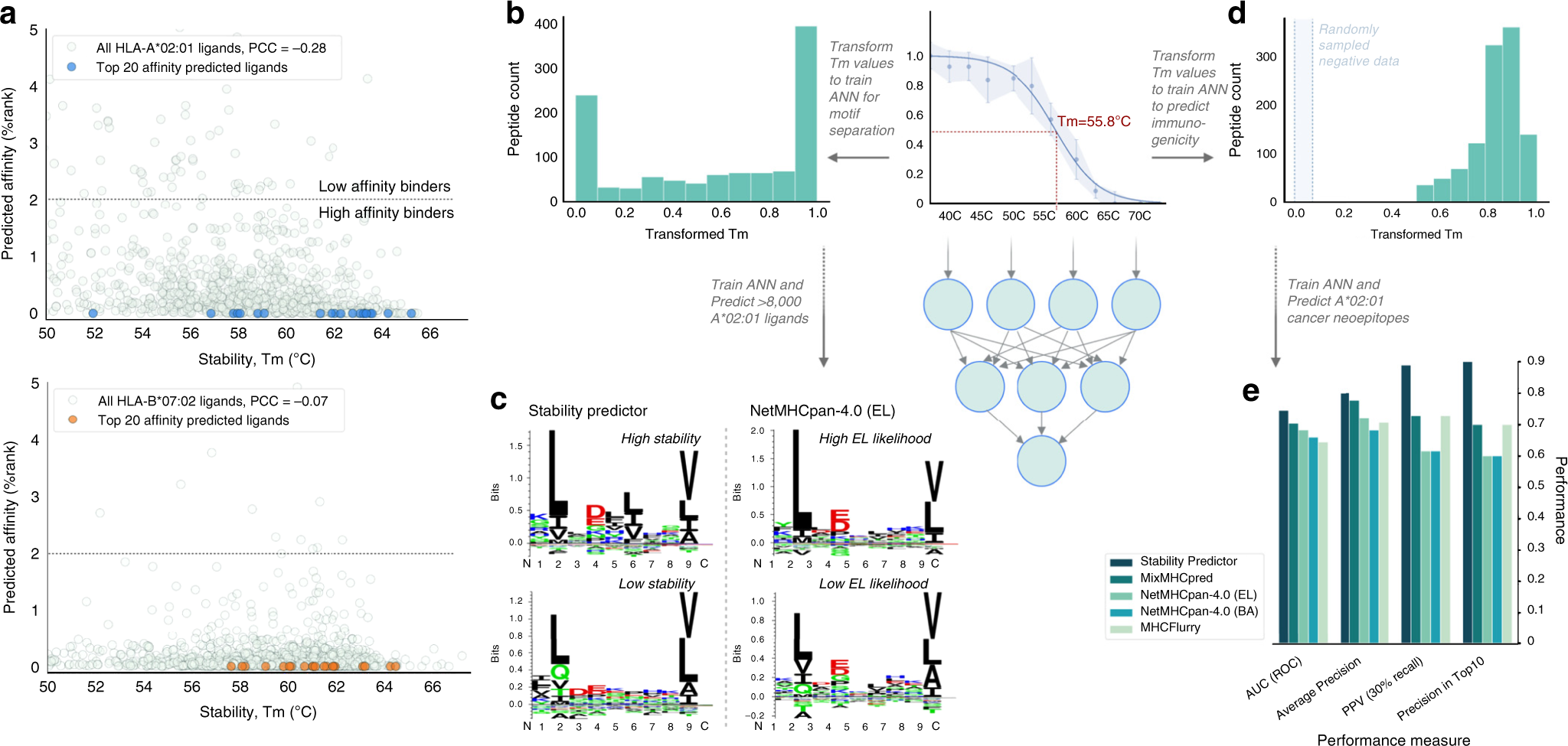 Fig. 3: Thermostability data of HLA-ligands improves immunogenicity prediction.