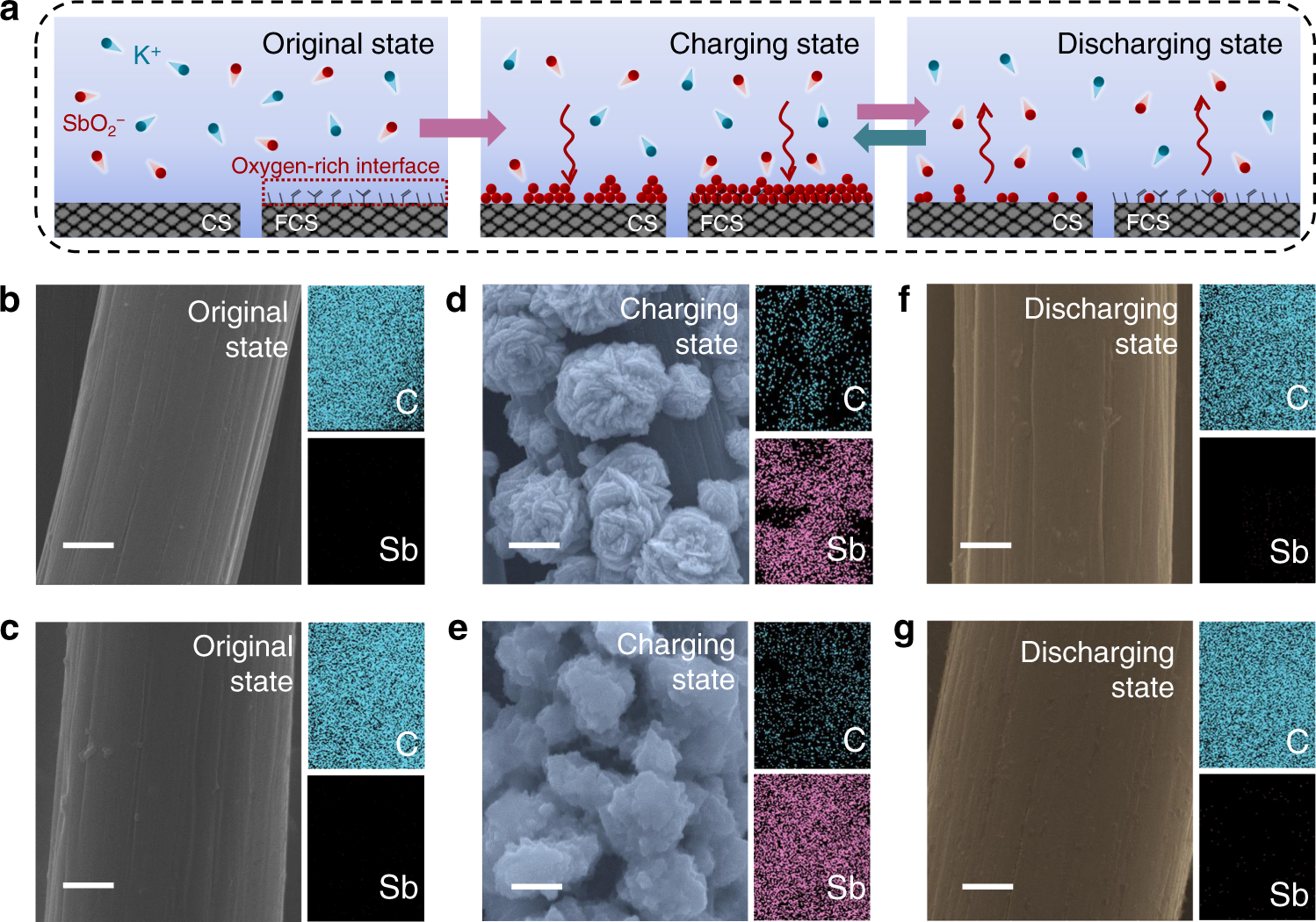 Oxygen-rich interface enables reversible stibium stripping/plating  chemistry in aqueous alkaline batteries | Nature Communications