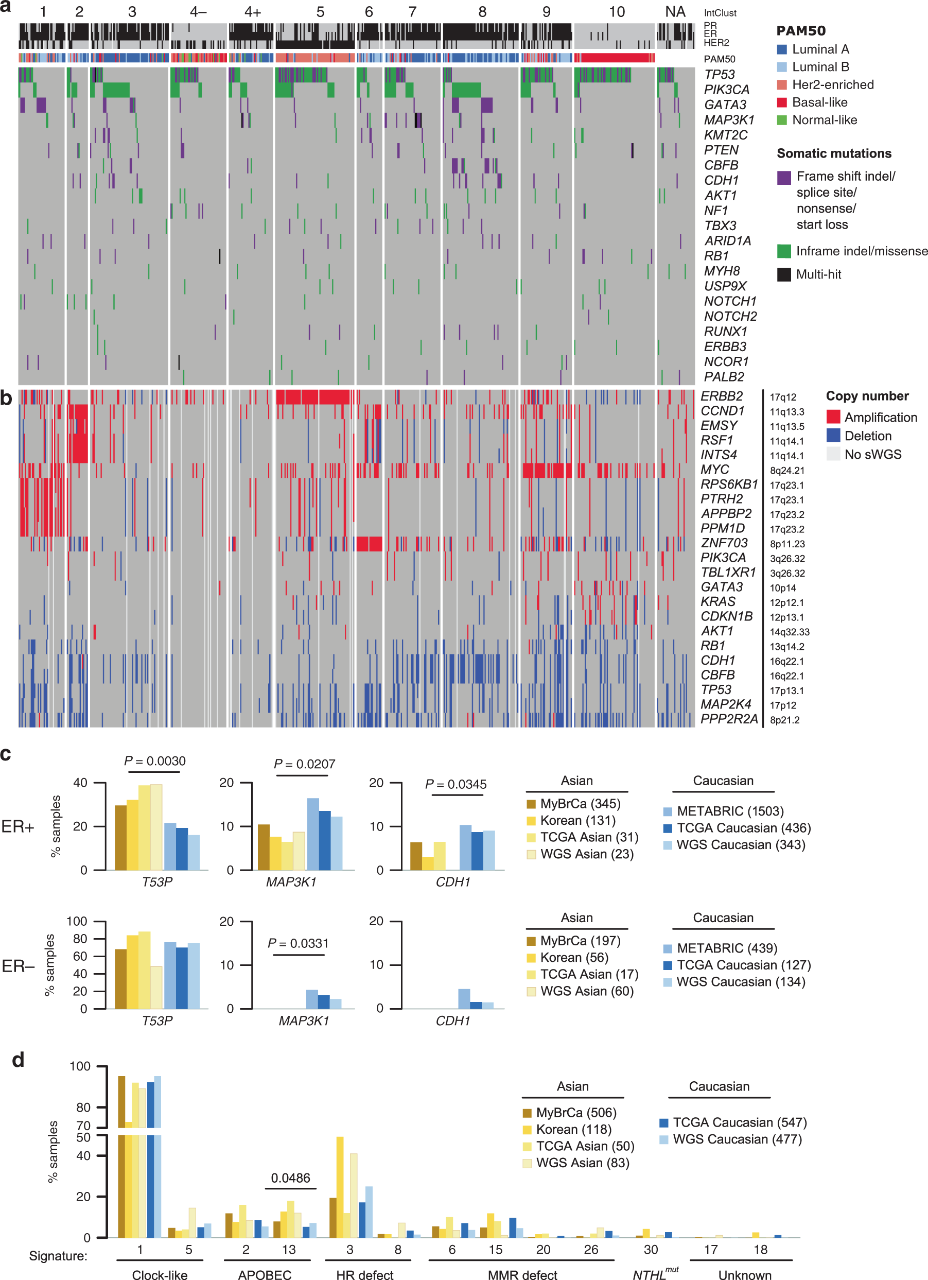 Fig. 2: Mutational landscape of MyBrCa tumours.