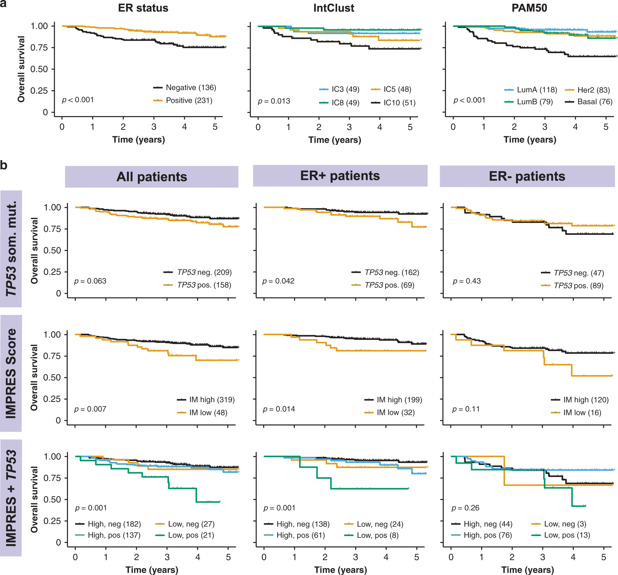 Fig. 5: Survival analyses of MyBrCa patients.