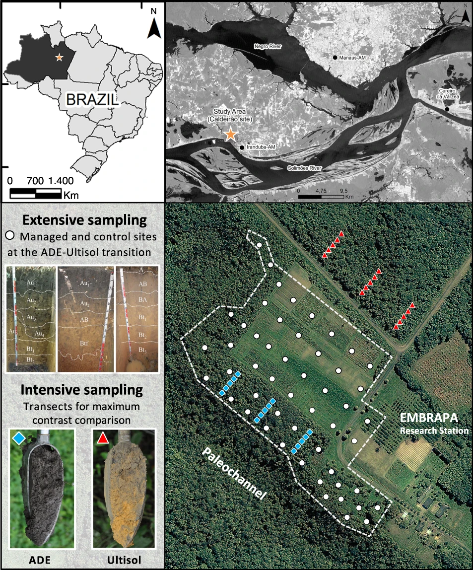 Fires, Flooding Before Settlement May Have Formed the Amazon’s Rare Patches of Fertility