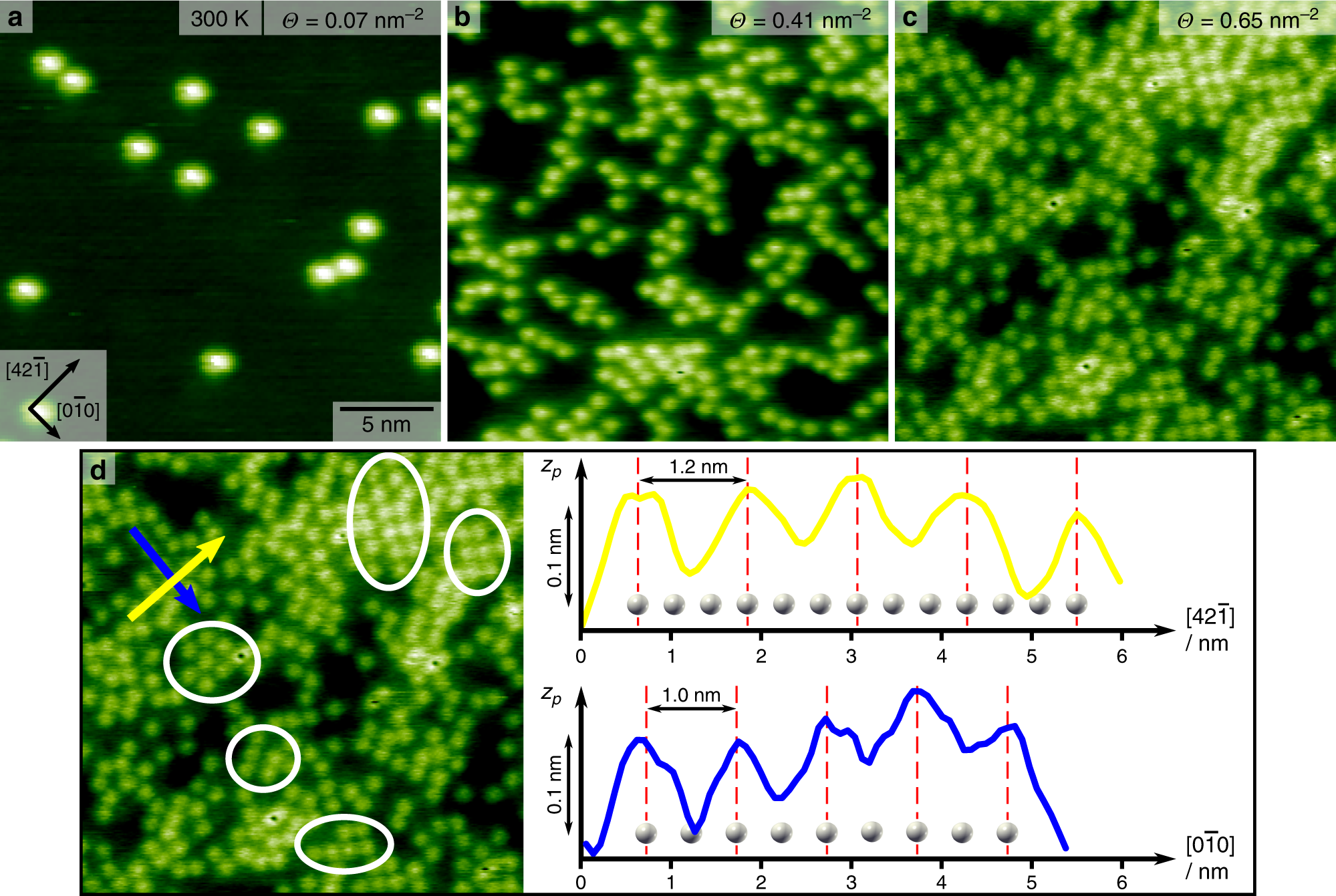 Fig. 2: AFM image of MoMo molecules on calcite (10.4) as a function of coverage.