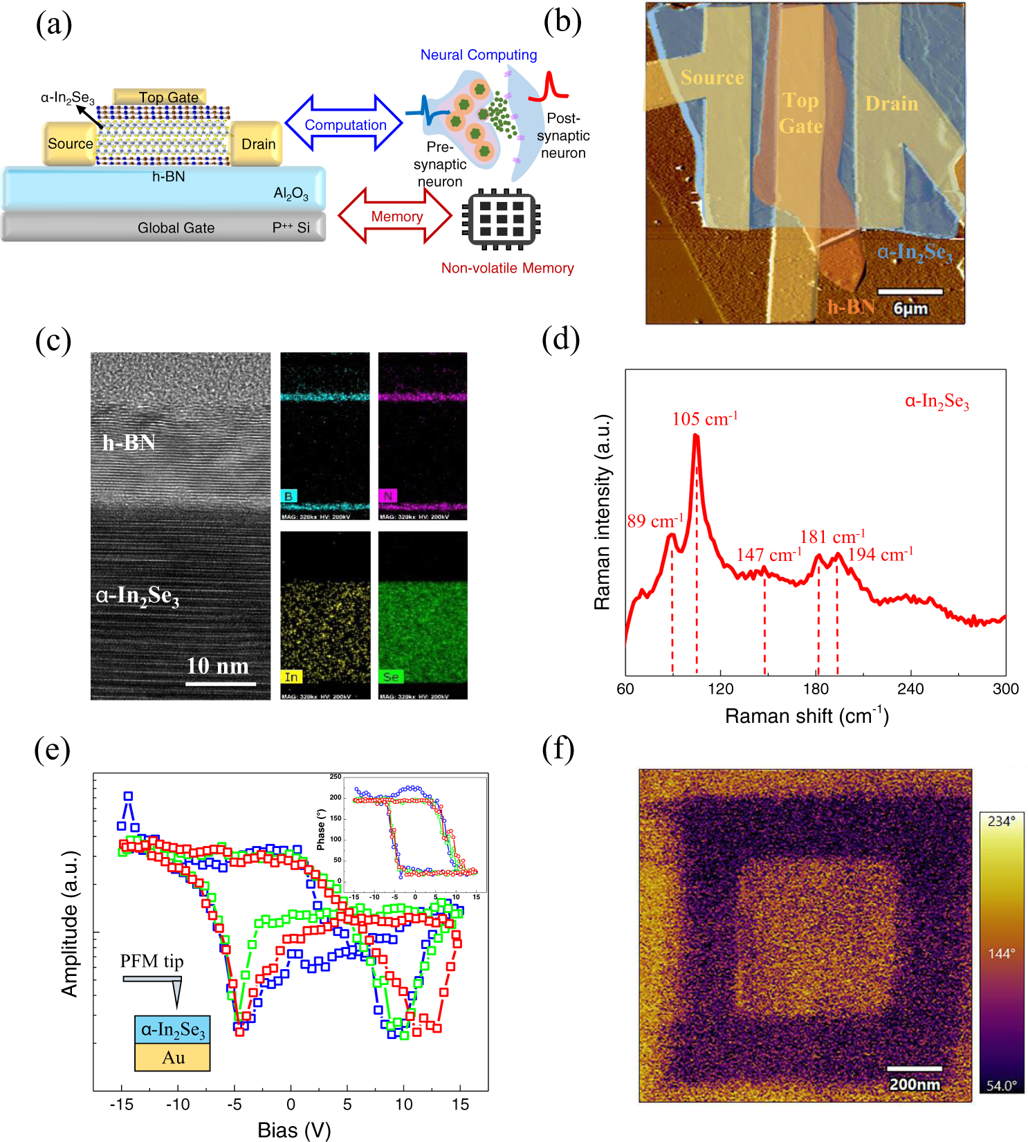 Two-dimensional ferroelectric channel transistors integrating ultra-fast  memory and neural computing | Nature Communications