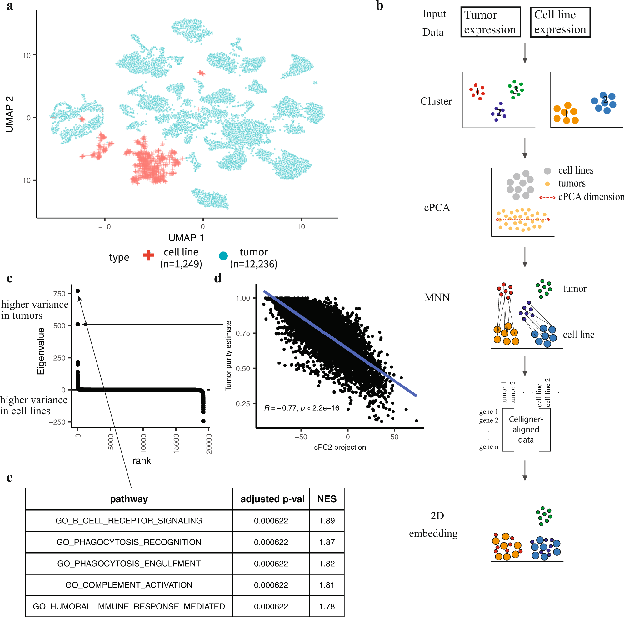 Global computational alignment of tumor and cell line transcriptional  profiles | Nature Communications