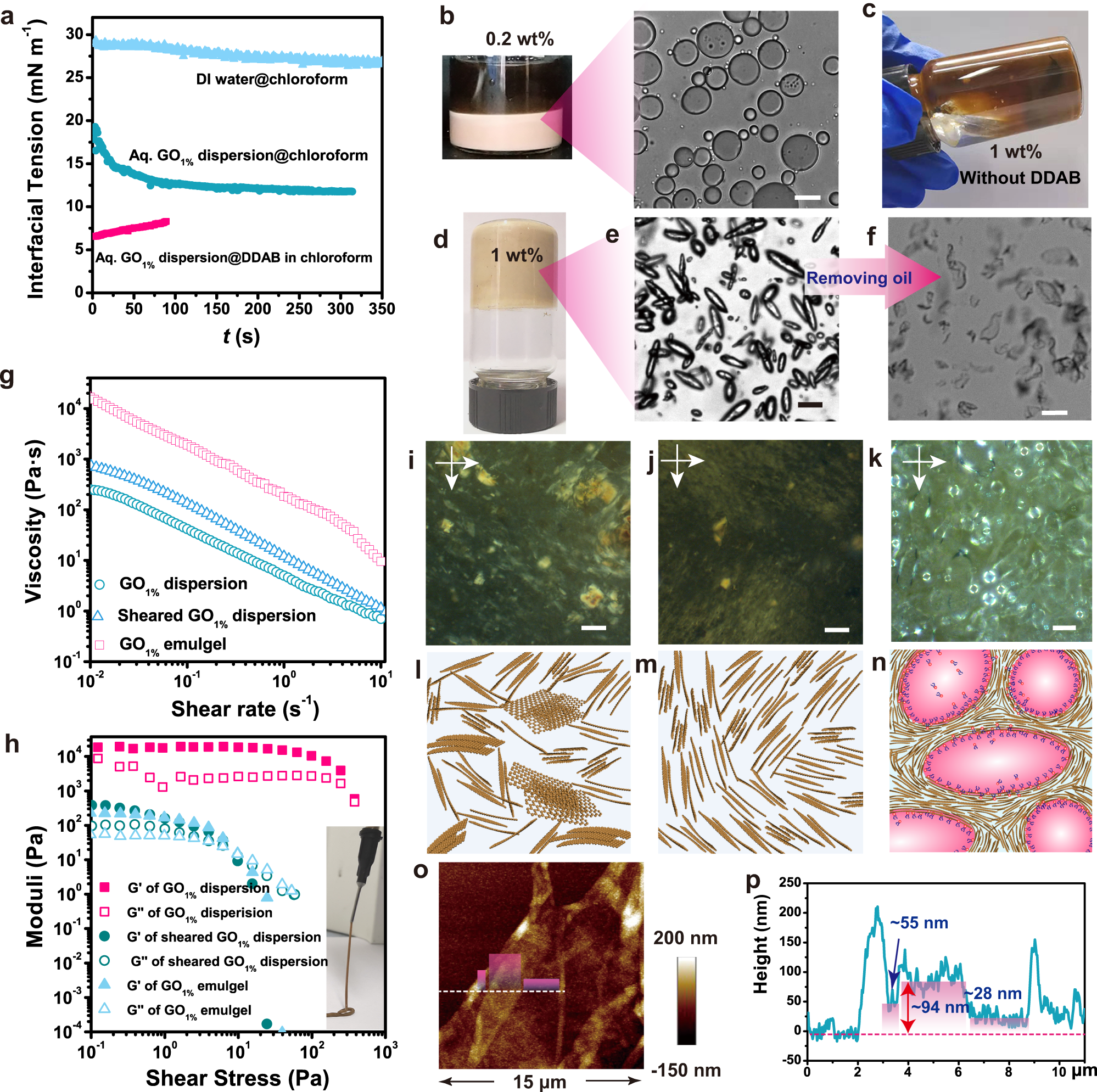 Fig. 2: Formation of interfacial jamming stabilized GO/DDAB emulgel inks.
