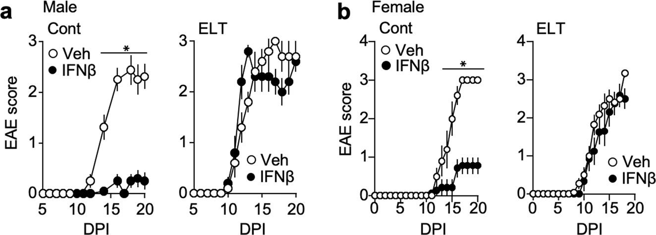 Fig. 4: ELT-EAE mice are interferon-β resistant.