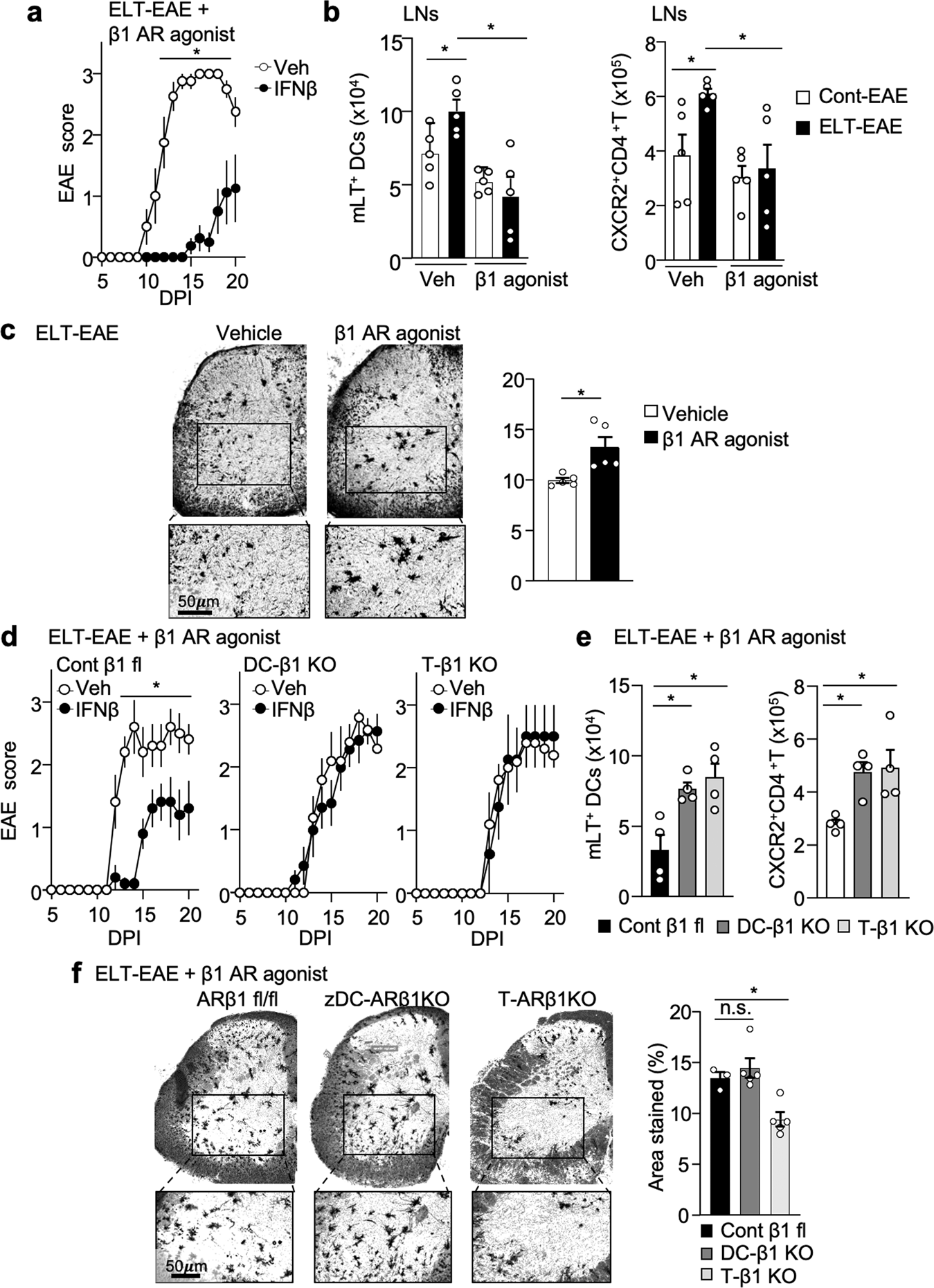 Fig. 8: β1-AR agonist treatment is sufficient to rescue ELT-EAE subtype.