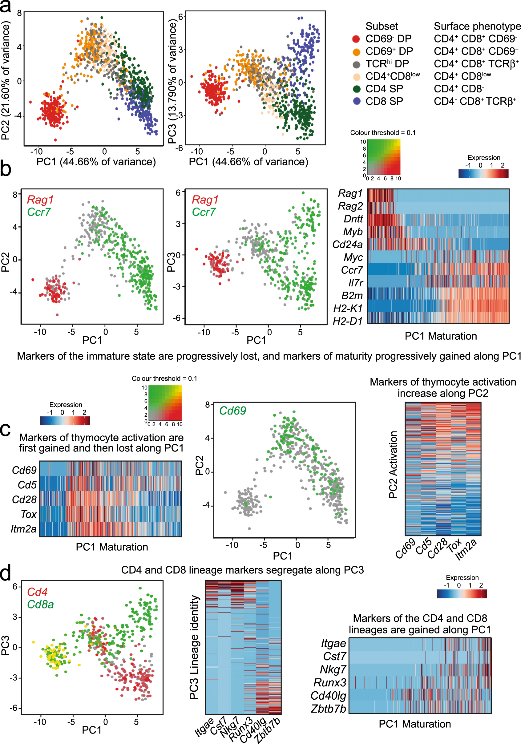 Differentiation status of CD4⁺ and CD8⁺ T cells infiltrating MC38