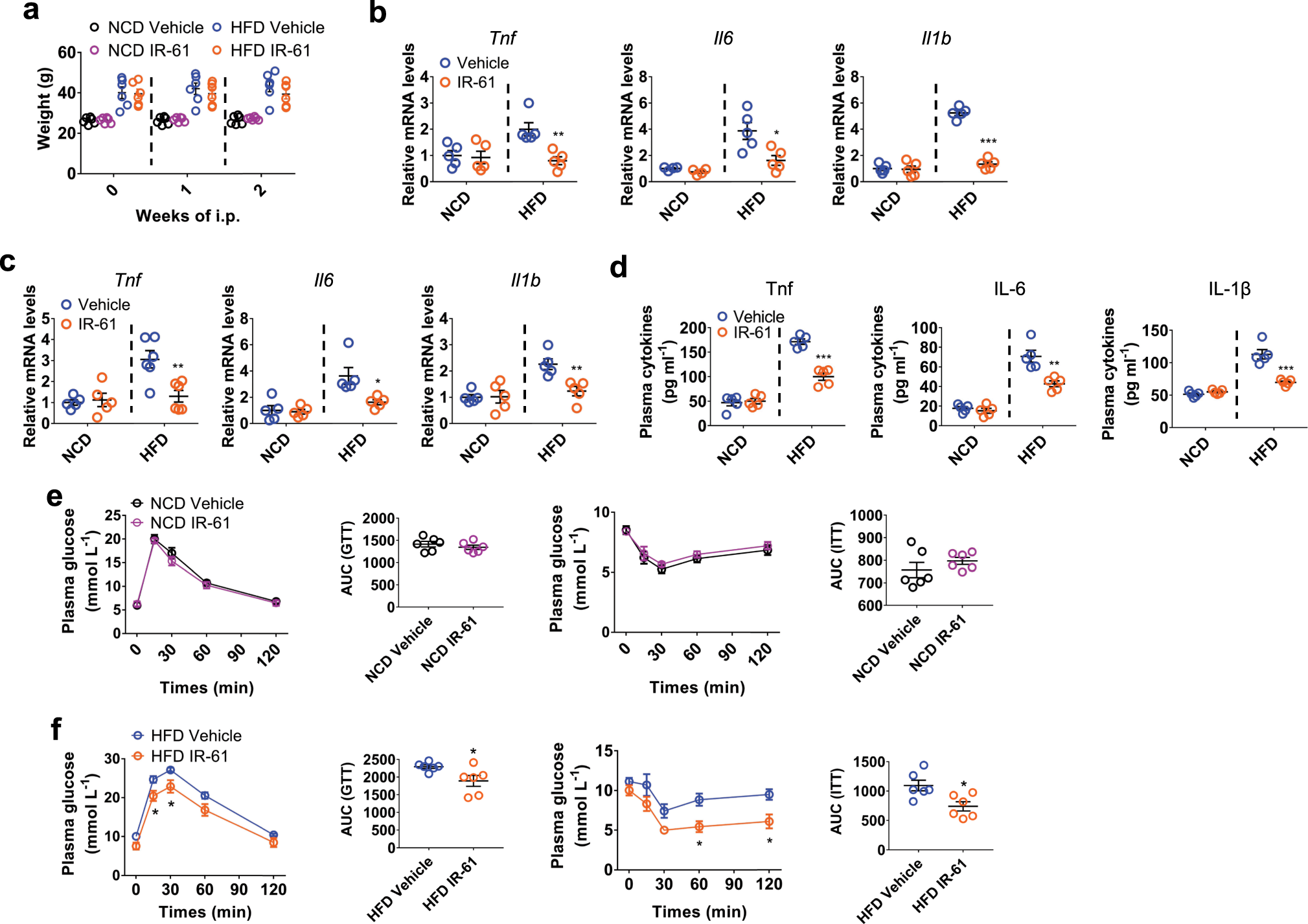 Fig. 7: IR-61 inhibits inflammation before body weight differences occur.
