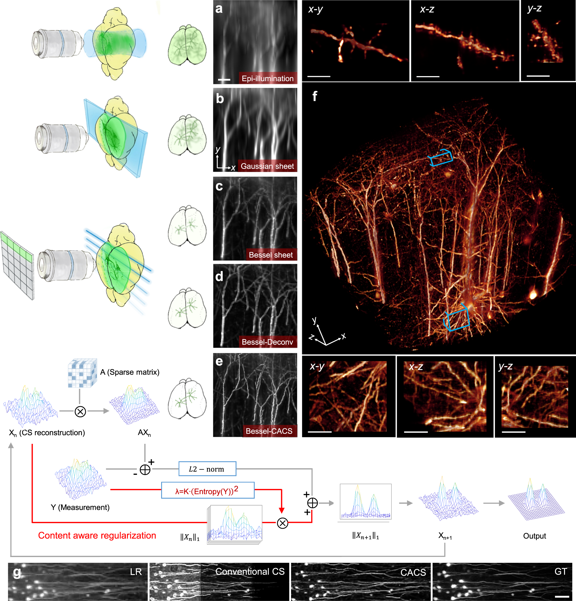 https://media.springernature.com/full/springer-static/image/art%3A10.1038%2Fs41467-020-20329-3/MediaObjects/41467_2020_20329_Fig1_HTML.png