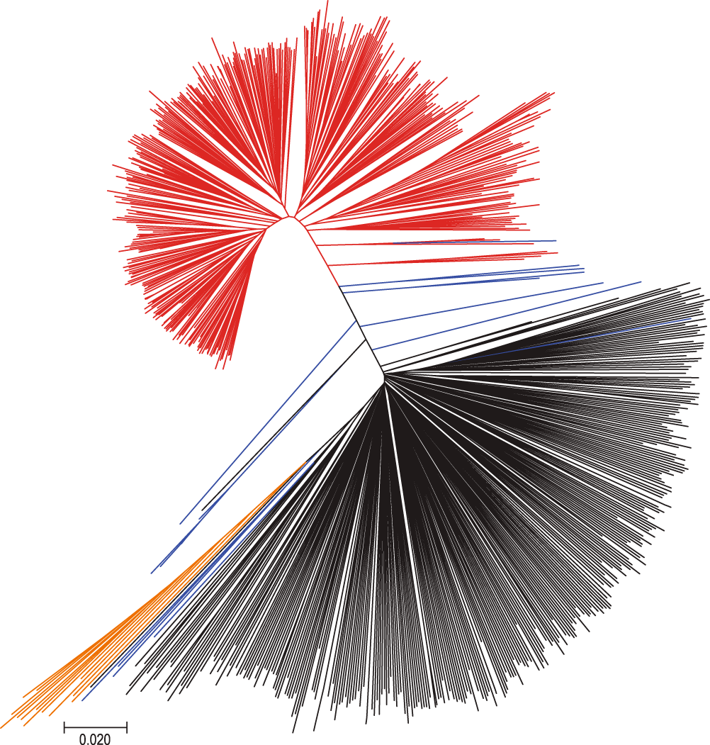 Fig. 1: Neighbor-joining tree of the 781 soybean accessions.