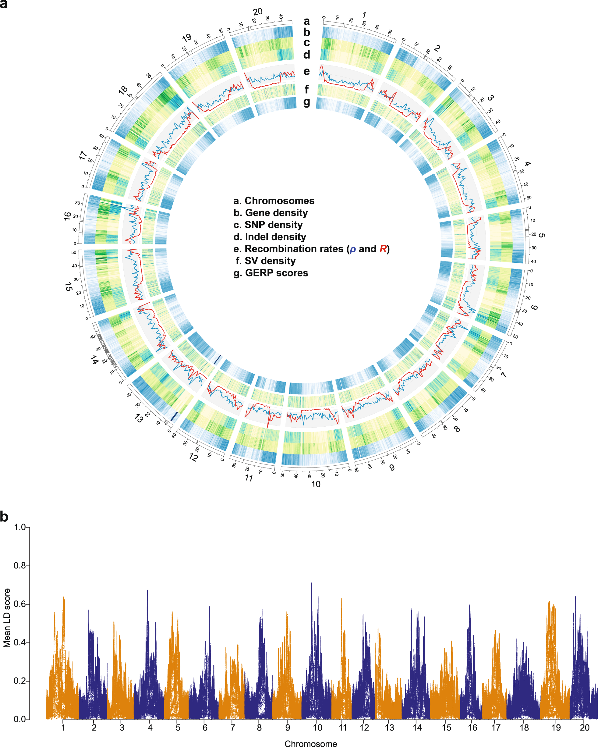 Fig. 2: Genomic landscape of soybean.