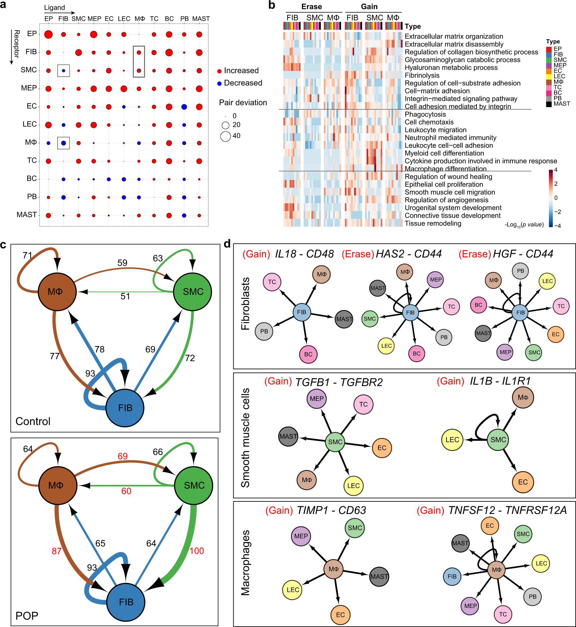 Fig. 4: Global analysis of ligand–receptor interaction pairs.