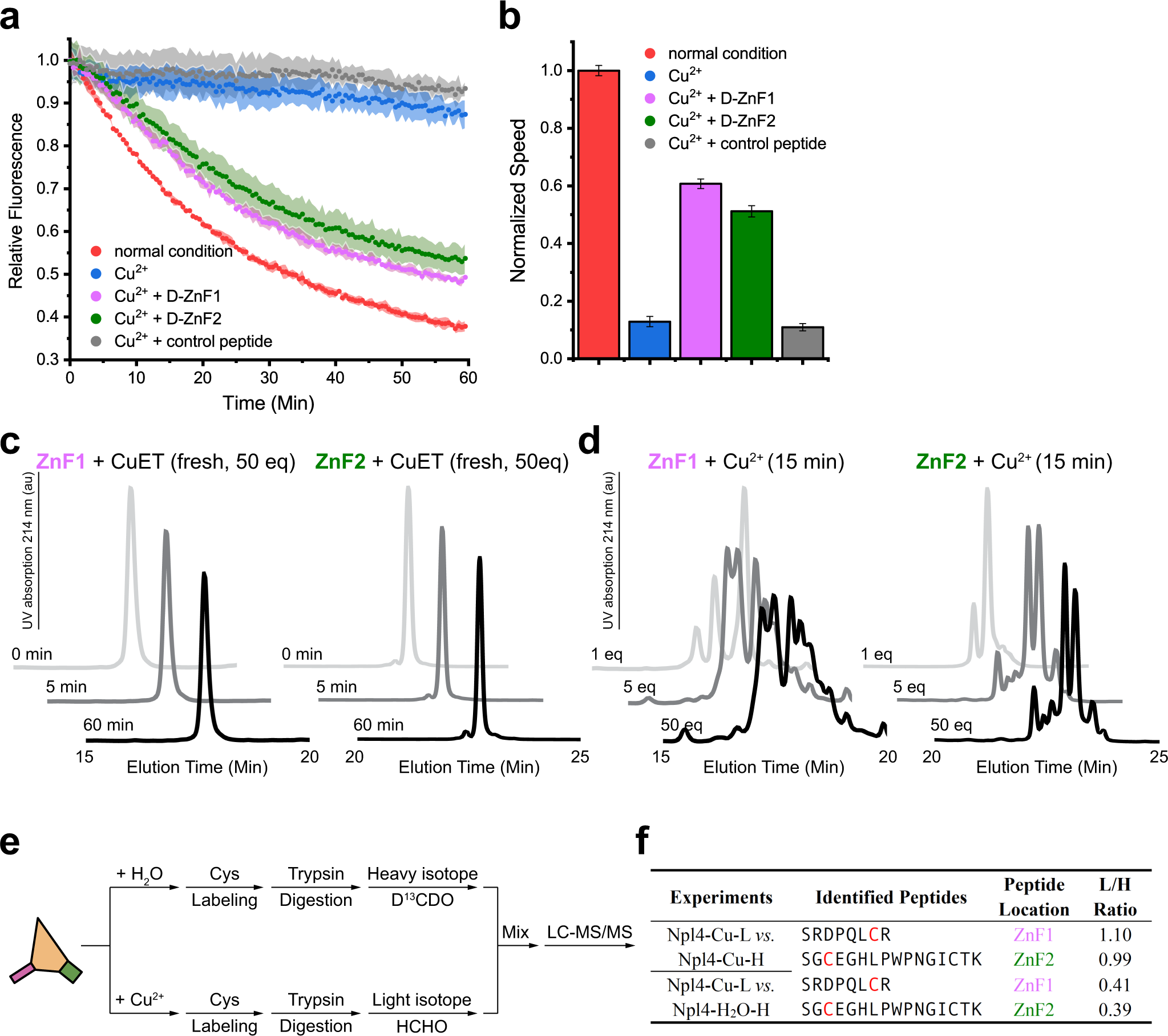 Fig. 4: Copper interacts with the zinc finger motifs of Npl4.