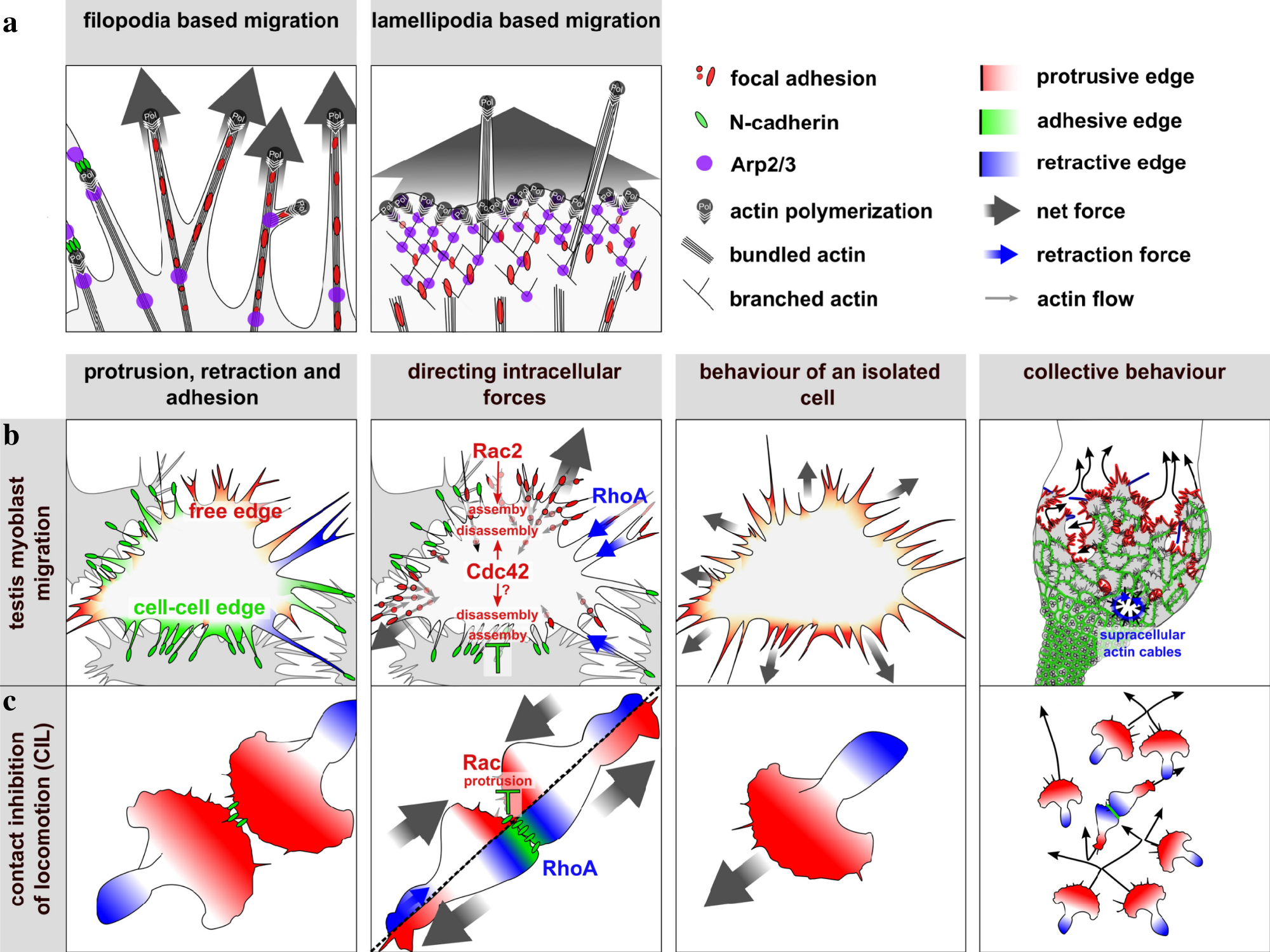 Fig. 8: Proposed model.
