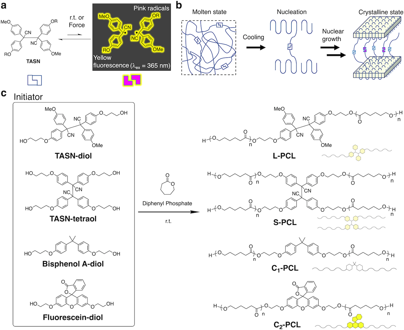Fig. 1: Conceptual illustration of the TASN moiety as a fluorescent probe and schematic image of CIMF.