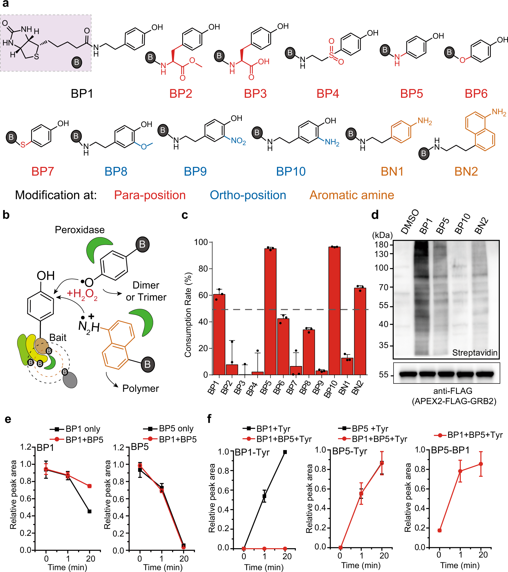 Spatiotemporal Profiling Of Cytosolic Signaling Complexes In Living Cells By Selective Proximity Proteomics Nature Communications