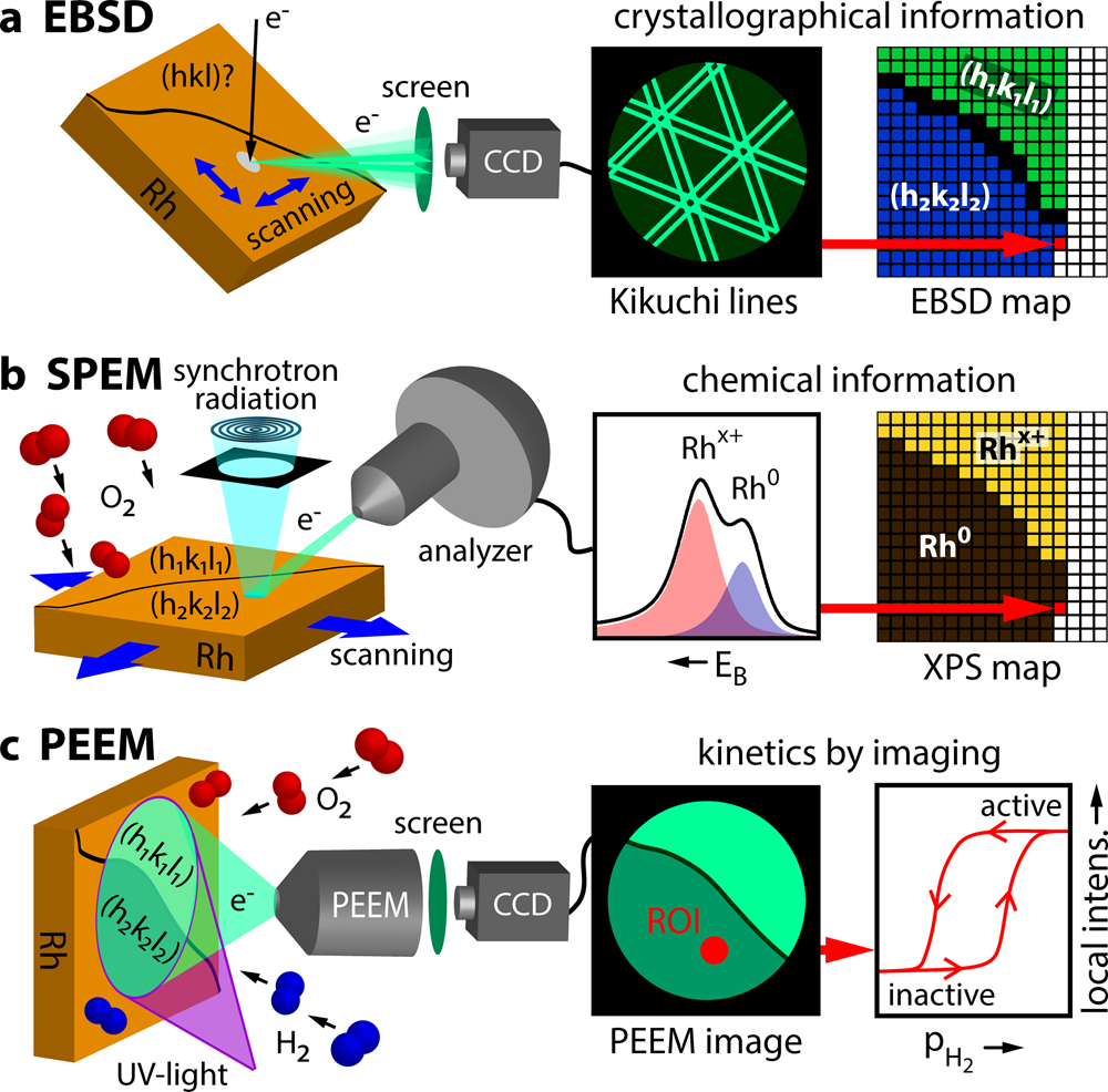 How The Anisotropy Of Surface Oxide Formation Influences The Transient Activity Of A Surface Reaction Nature Communications