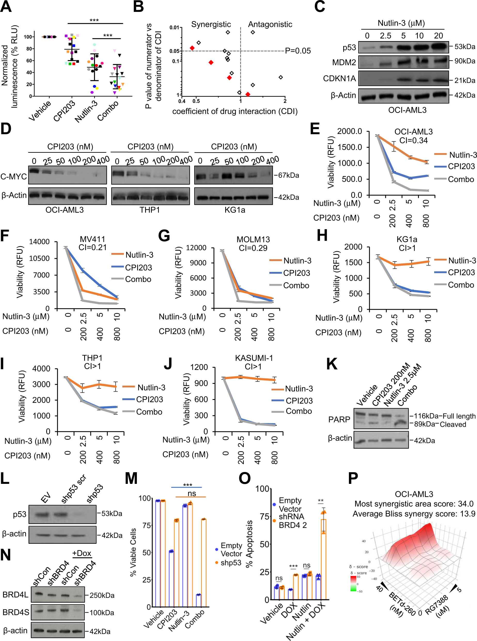 Fig. 1: MDM2 and BET inhibitors combine to enhance killing of primary human AML blasts and AML cell lines with wild-type TP53.