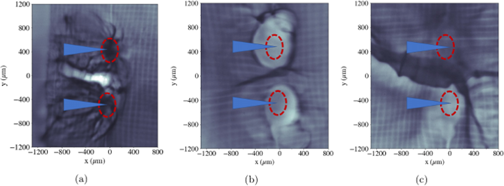 Fig. 3: Proton radiographs from probing at 45° to the target normal.
