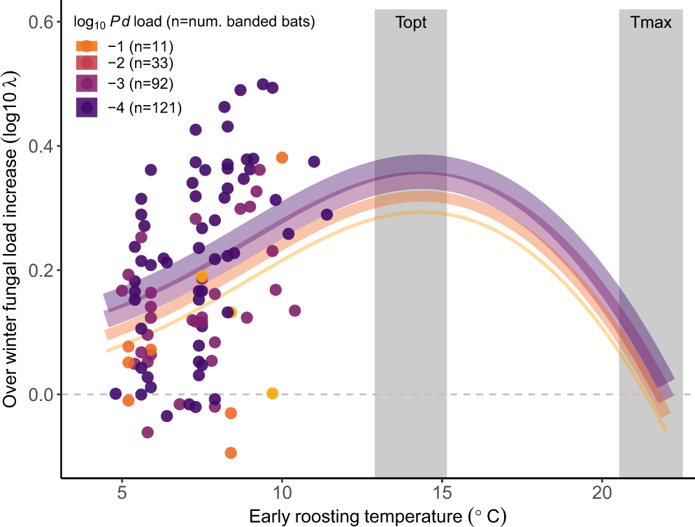 Fig. 3: Temperature and changes in fungal loads on bats.