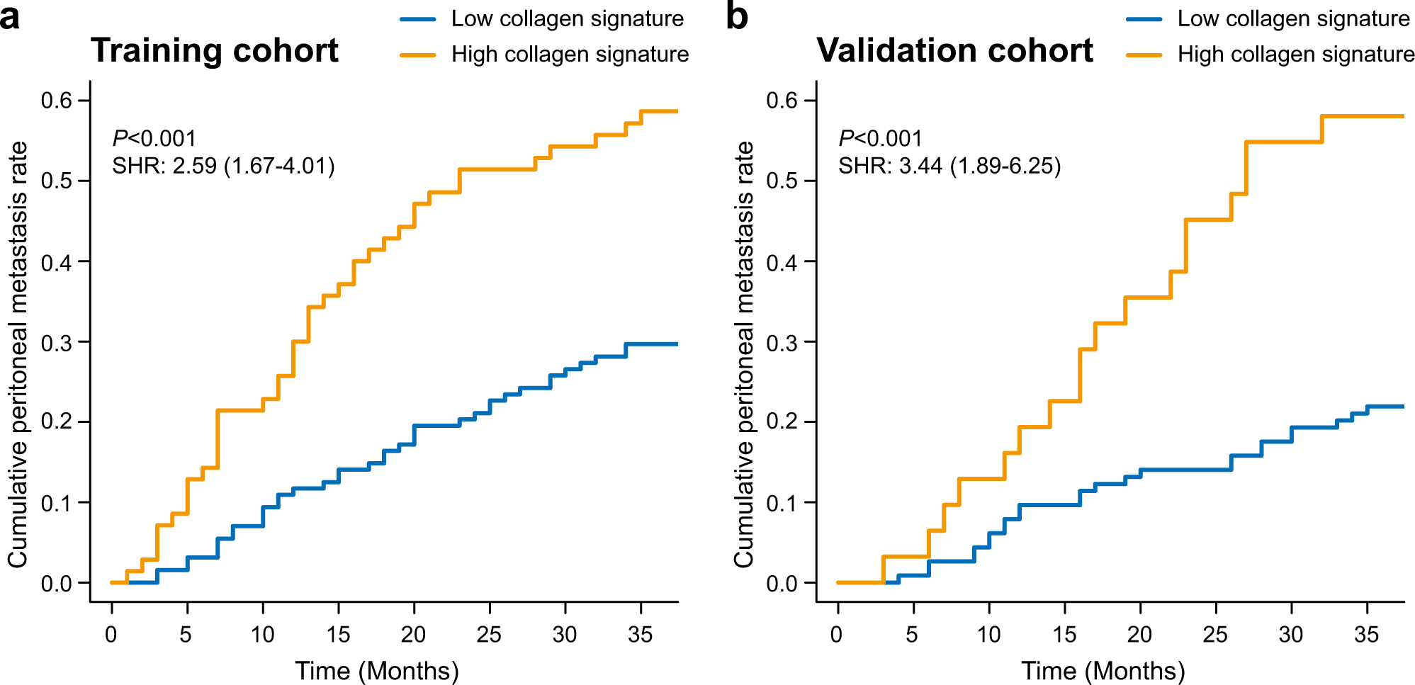 Fig. 2: Collagen signature and peritoneal metastasis in the training and validation cohorts.