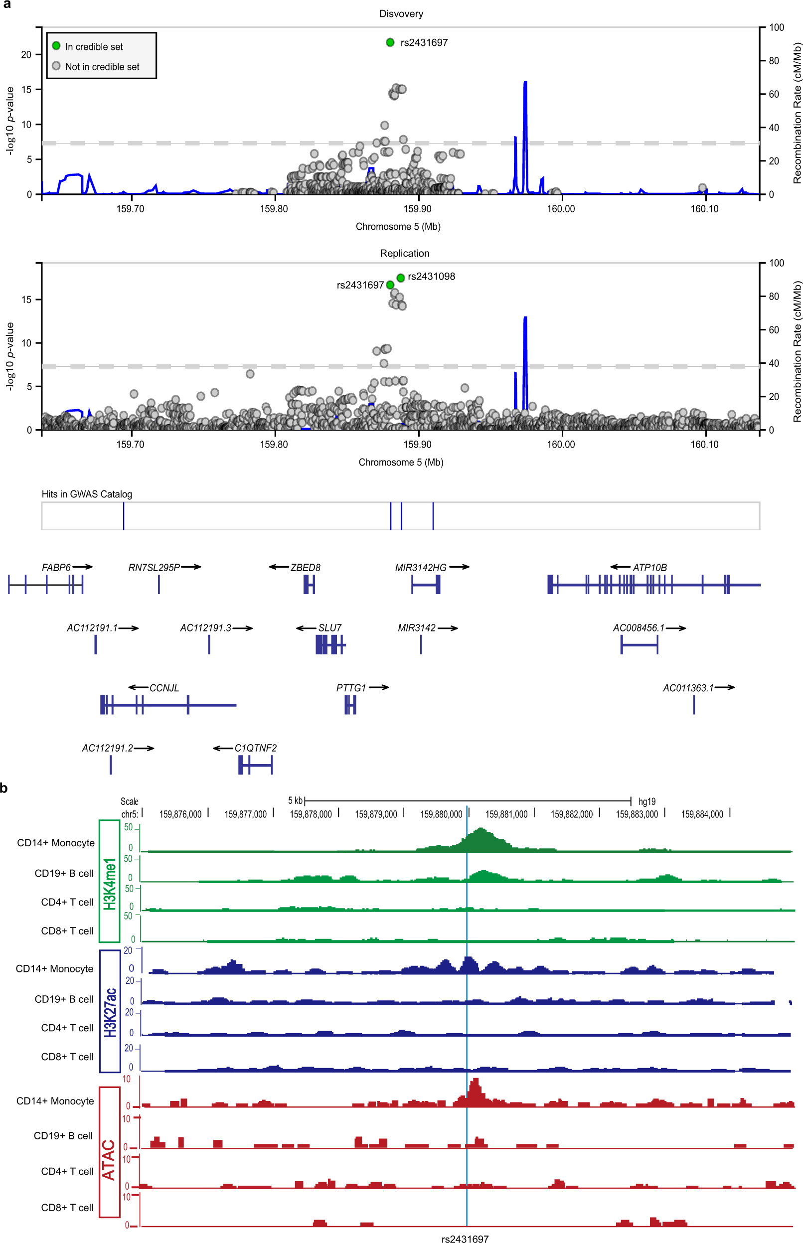 Fig. 1: Genetic and epigenomic analysis of rs2431697.