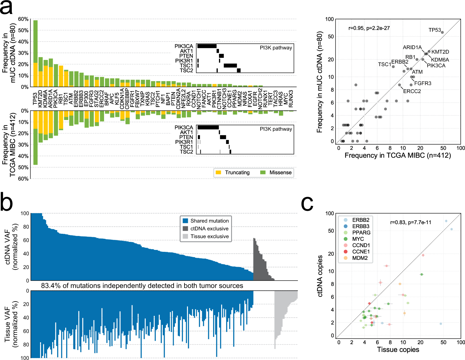 Fig. 2: Comparison of circulating tumor DNA (ctDNA) to tumor tissue.