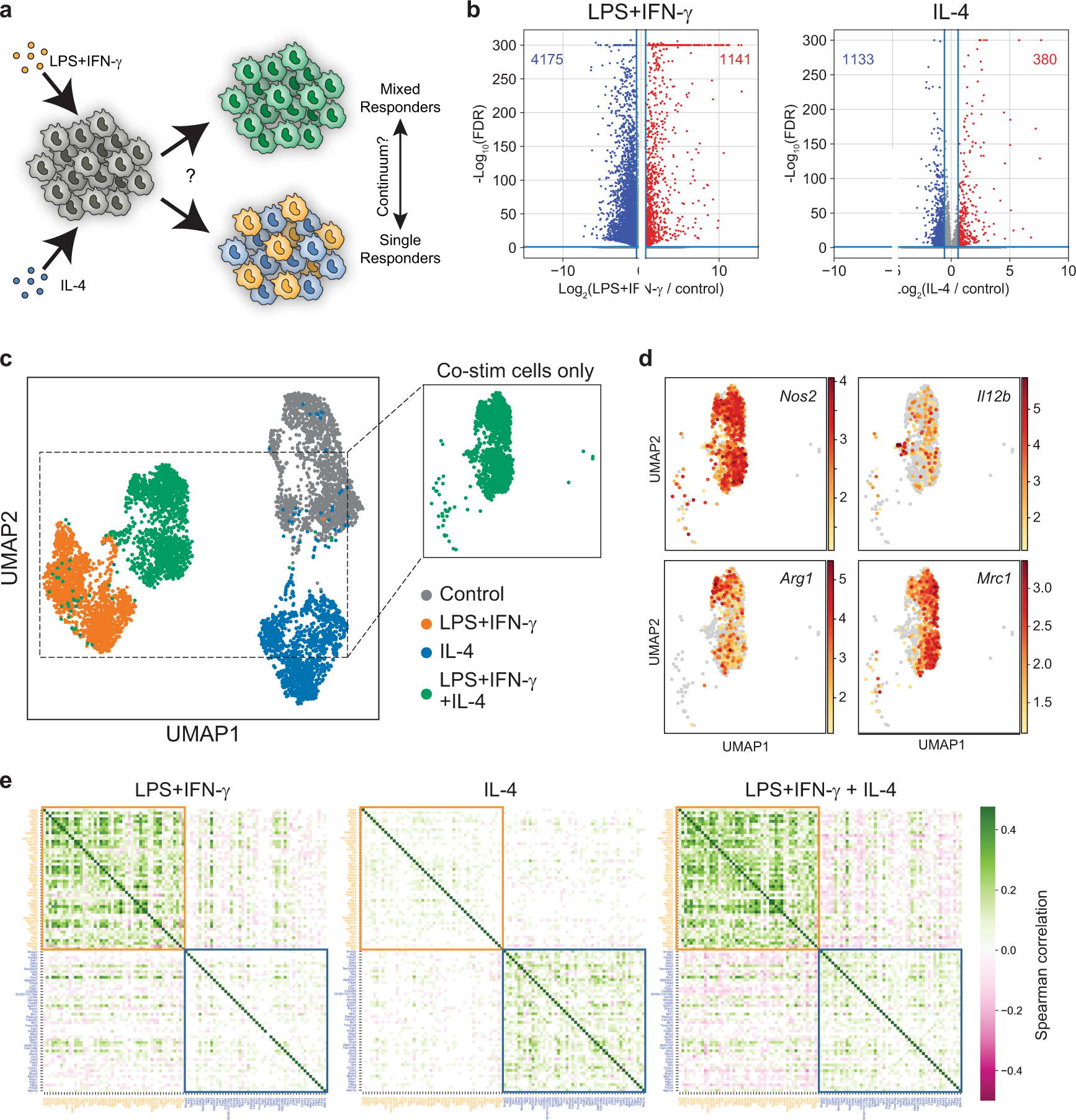 Transcription factor KLF4 regulated STAT1 to promote M1 polarization of macrophages in rheumatoid arthritis