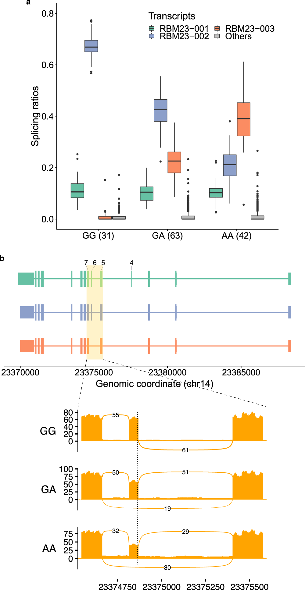 Identification And Analysis Of Splicing Quantitative Trait Loci Across Multiple Tissues In The Human Genome Nature Communications Identification And Analysis Of Splicing Quantitative Trait Loci Across Multiple Tissues In The Human Genome Nature Communications