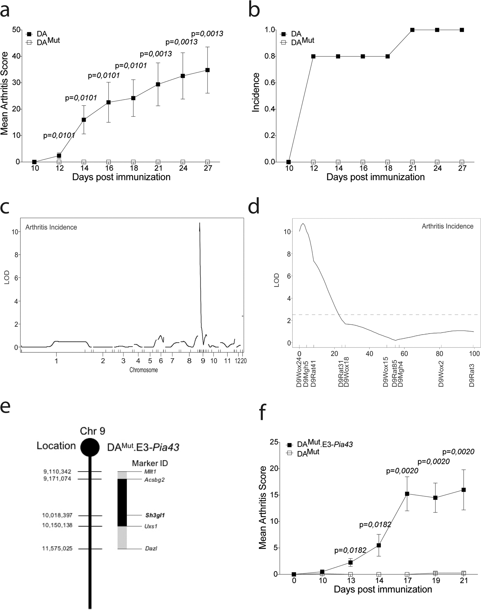 Fig. 1: Arthritis regulating loci in the DAMut rat is restricted to a 2-Mb region on chromosome 9.