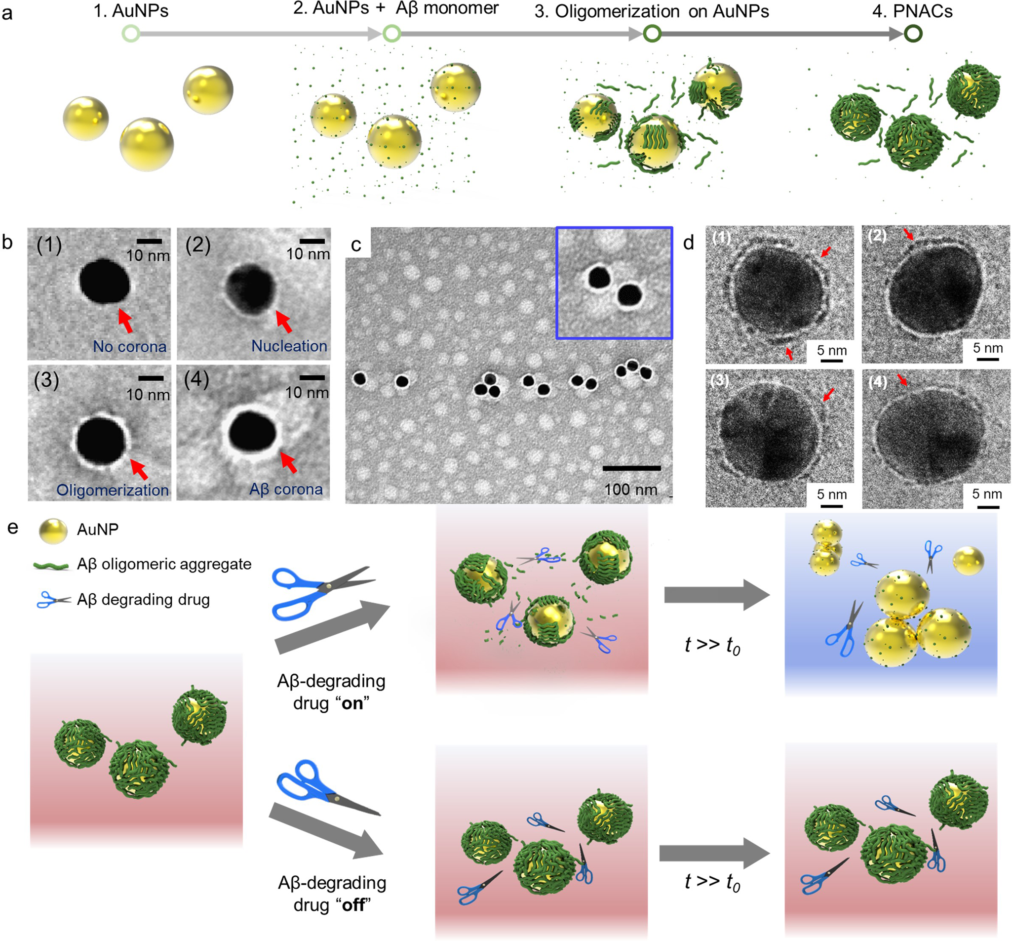 Plasmonic Nanoparticle Amyloid Corona For Screening Ab Oligomeric Aggregate Degrading Drugs Nature Communications Plasmonic Nanoparticle Amyloid Corona For Screening Ab Oligomeric Aggregate Degrading Drugs Nature Communications