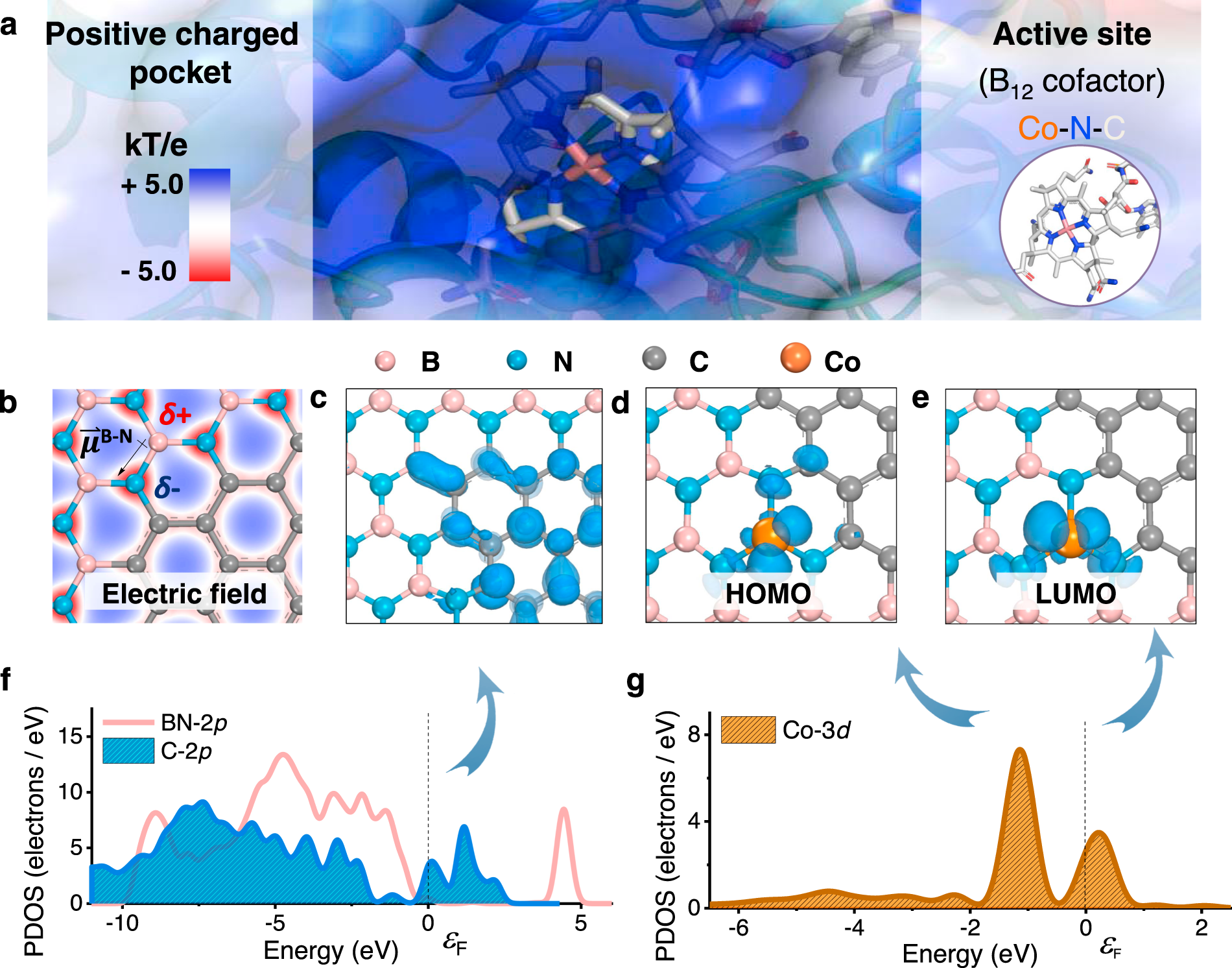 Integrating Single Cobalt Site And Electric Field Of Boron Nitride In Dechlorination Electrocatalysts By Bioinspired Design Nature Communications
