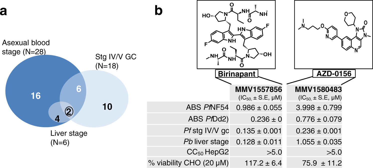 Fig. 3: Active compounds on multiple stages of Plasmodium development after dose–response evaluation and cytotoxicity filtering.