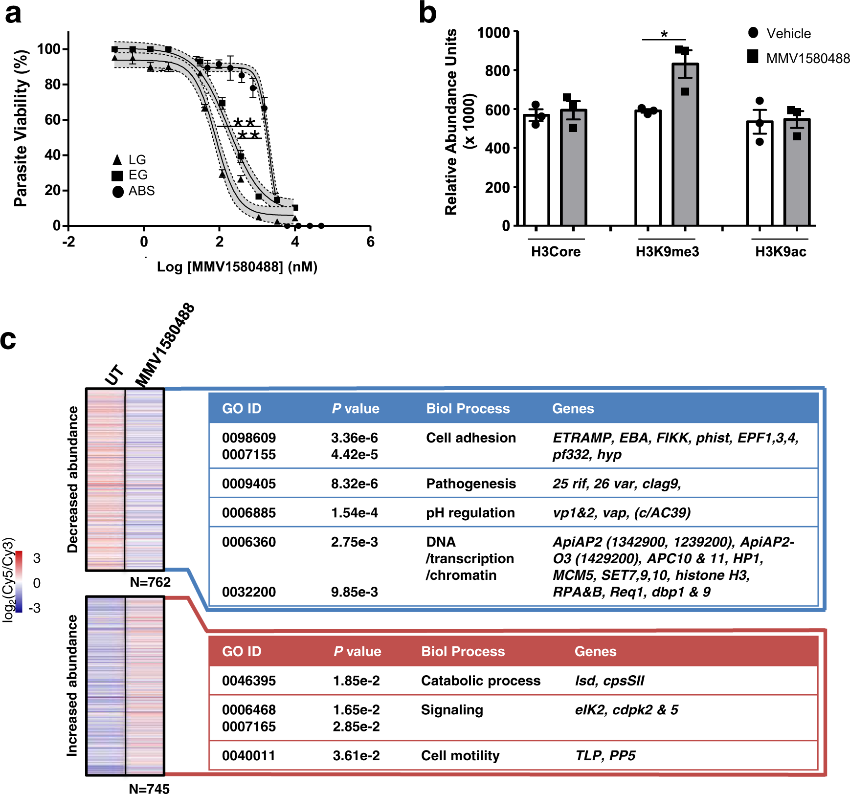 Fig. 6: MMV1580488 (ML324) inhibition of histone demethylation and induction of aberrant gene expression in gametocytes.