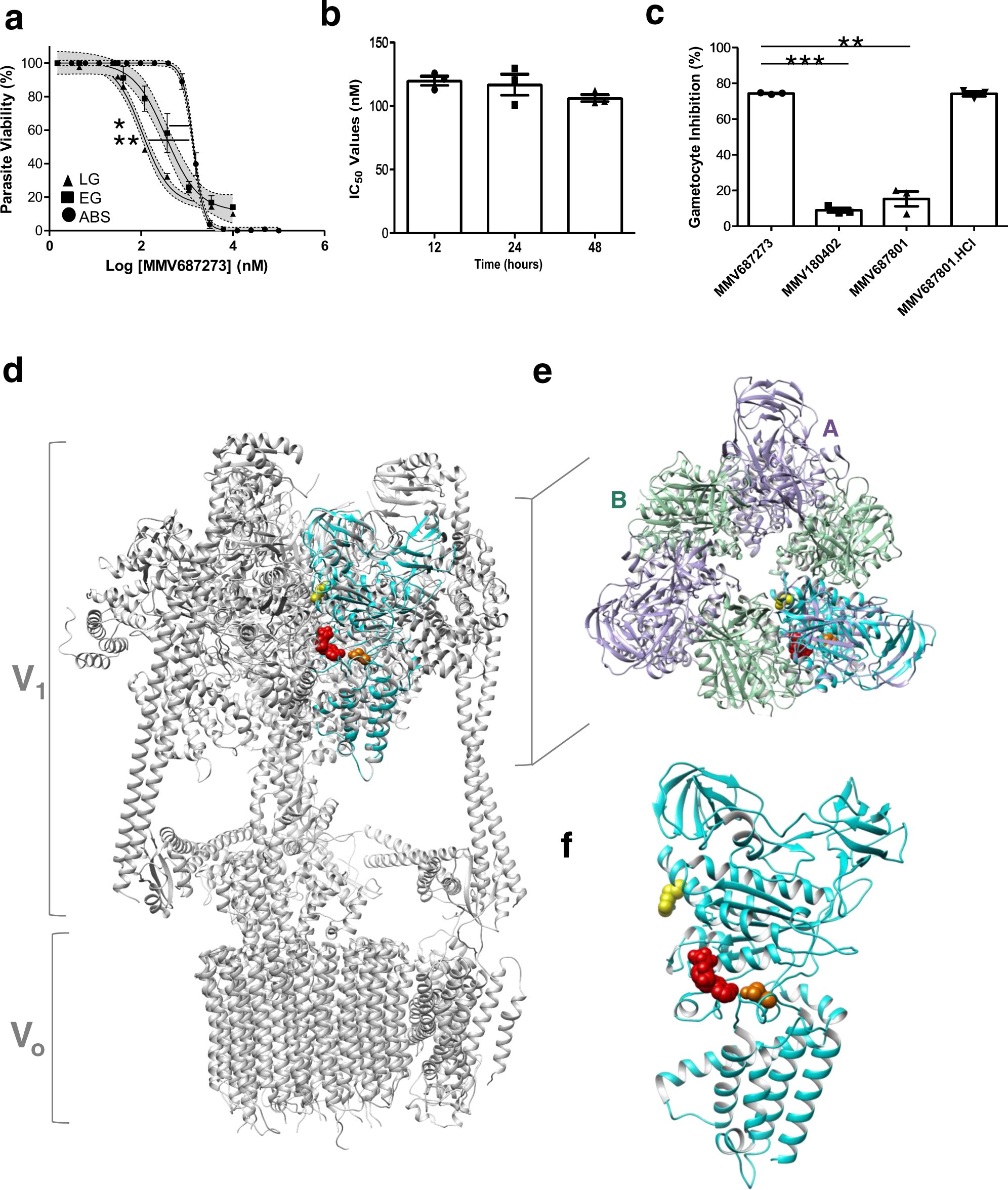 Fig. 7: Mechanistic investigations of MMV687273 (SQ109).