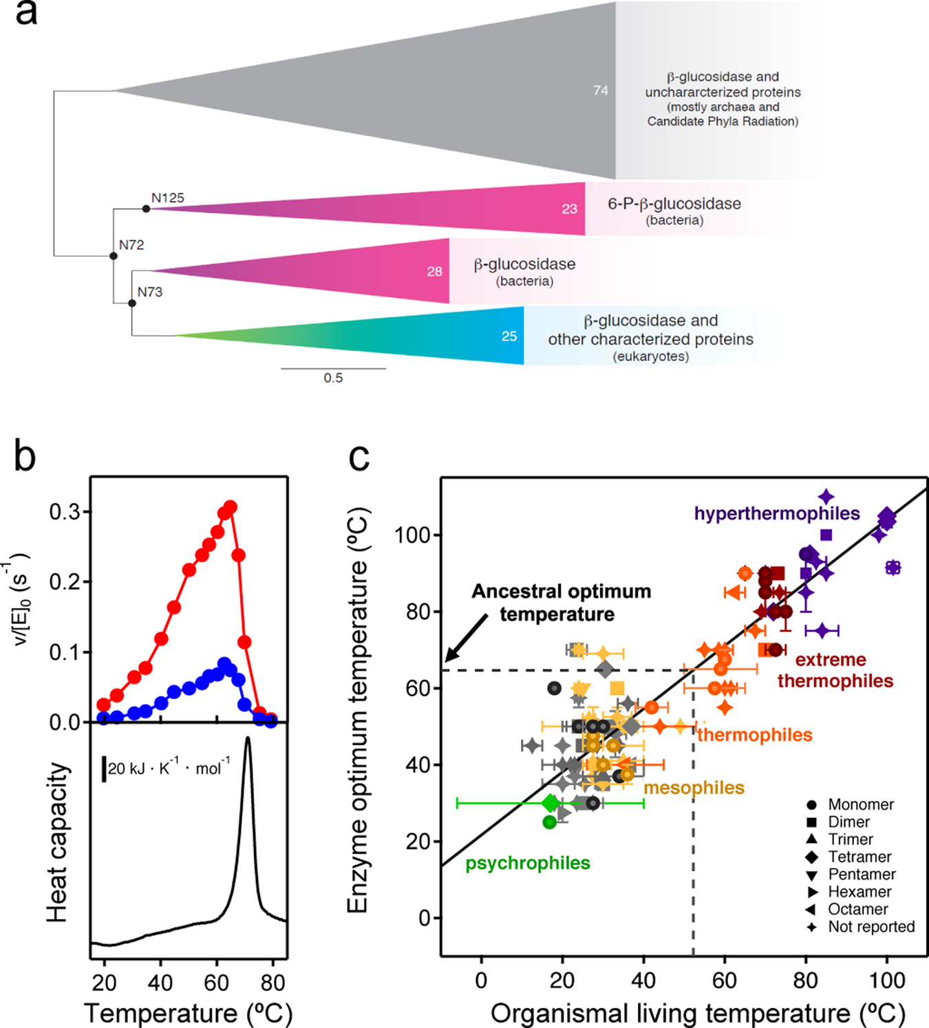 Heme-binding enables allosteric modulation in an ancient TIM-barrel  glycosidase | Nature Communications