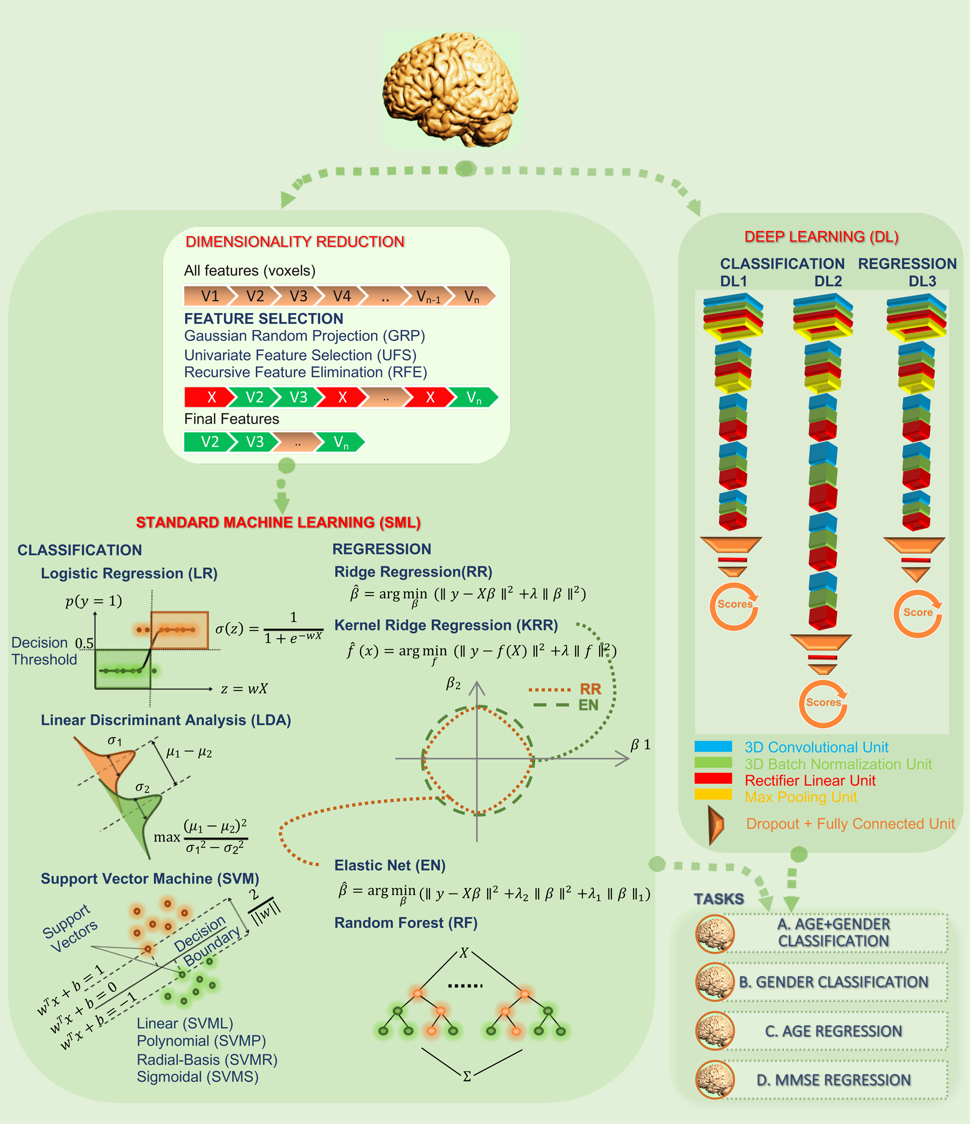 Deep learning encodes robust discriminative neuroimaging representations to  outperform standard machine learning | Nature Communications