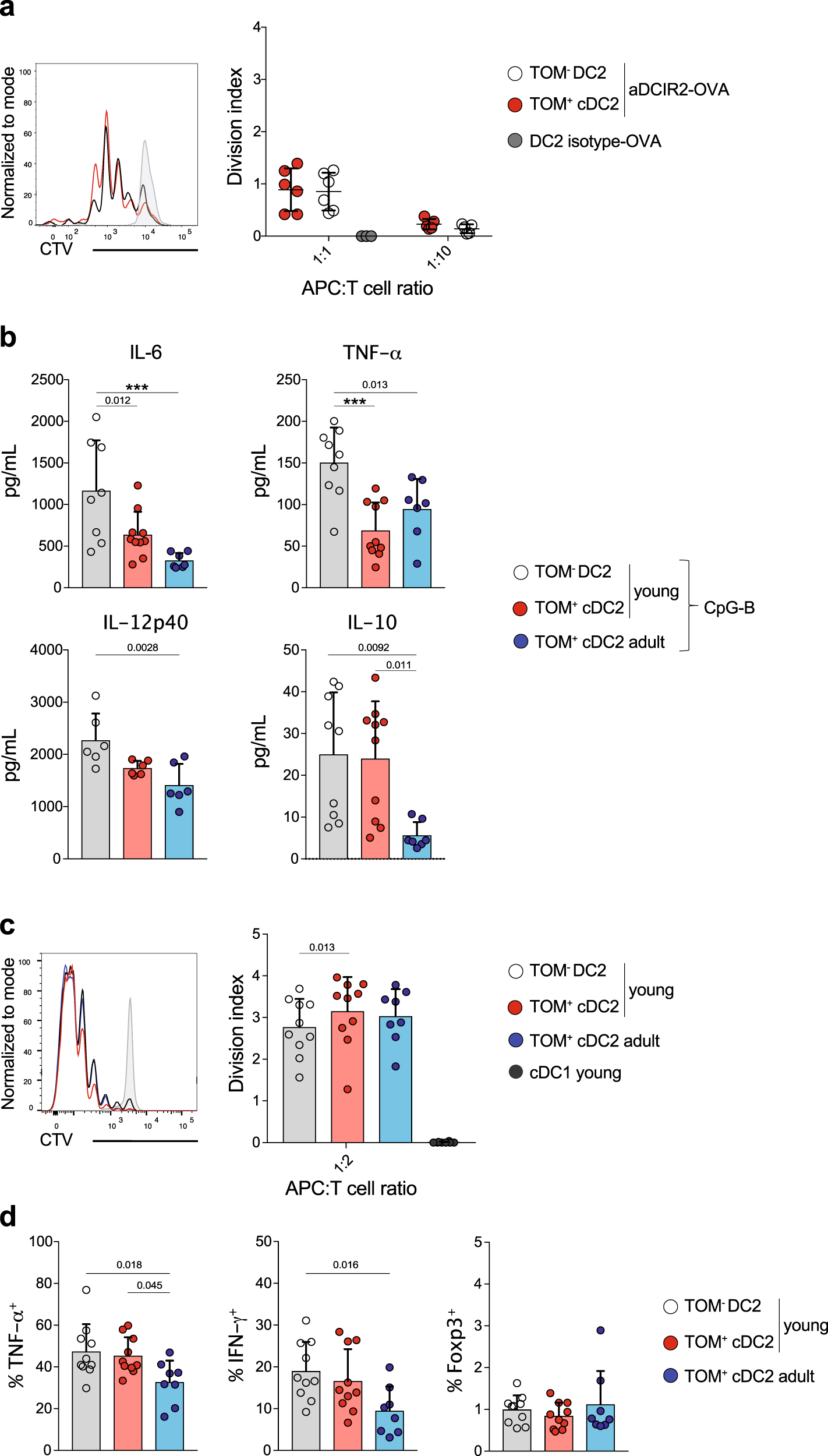 Fig. 6: Early-life cDC2 induce distinct T-cell responses upon targeted antigen delivery compared to adult-life cDC2.