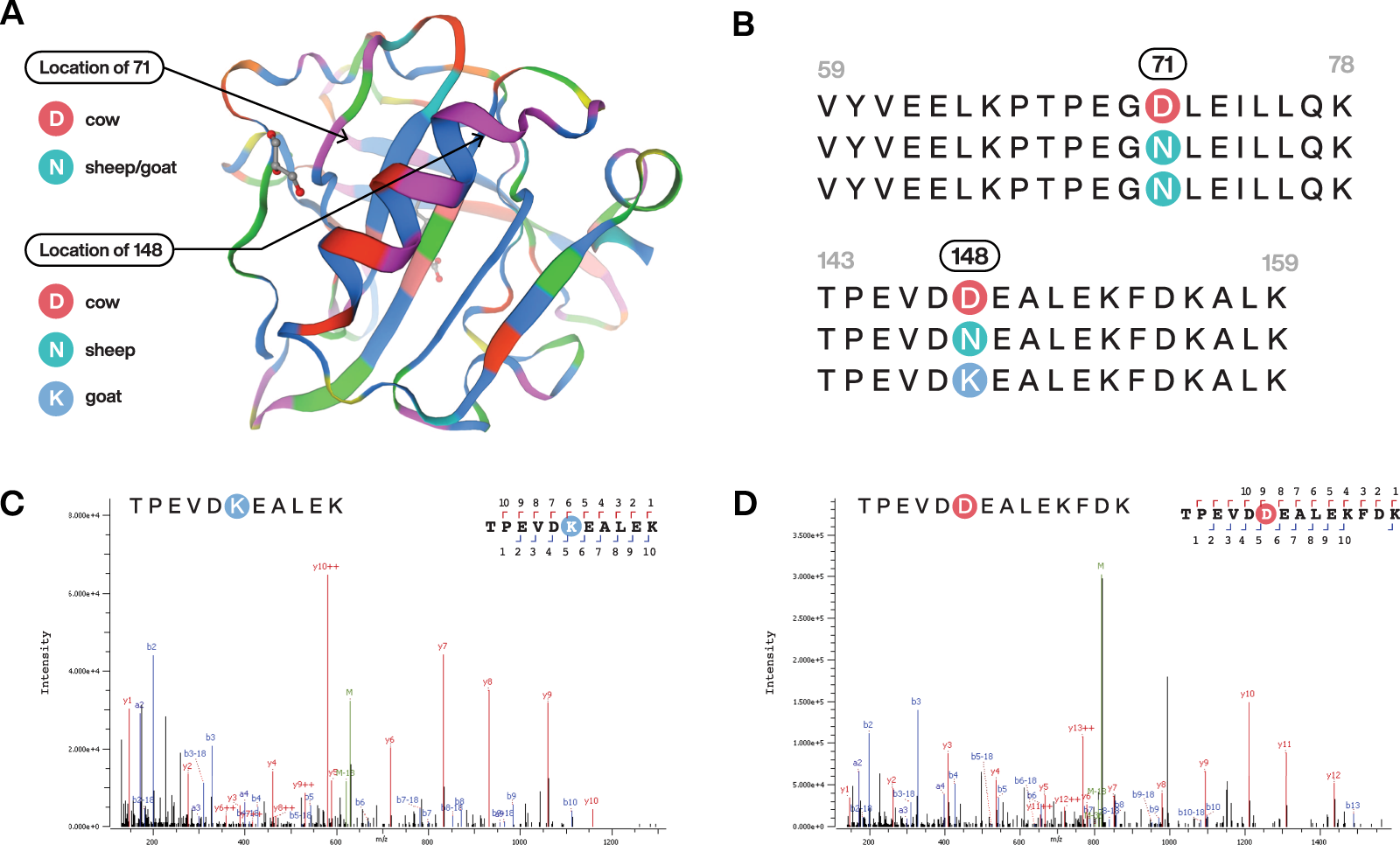 Fig. 3: Milk β-lactoglobulin proteins identified from ancient dental calculus of individuals from Sudan and Kenya.