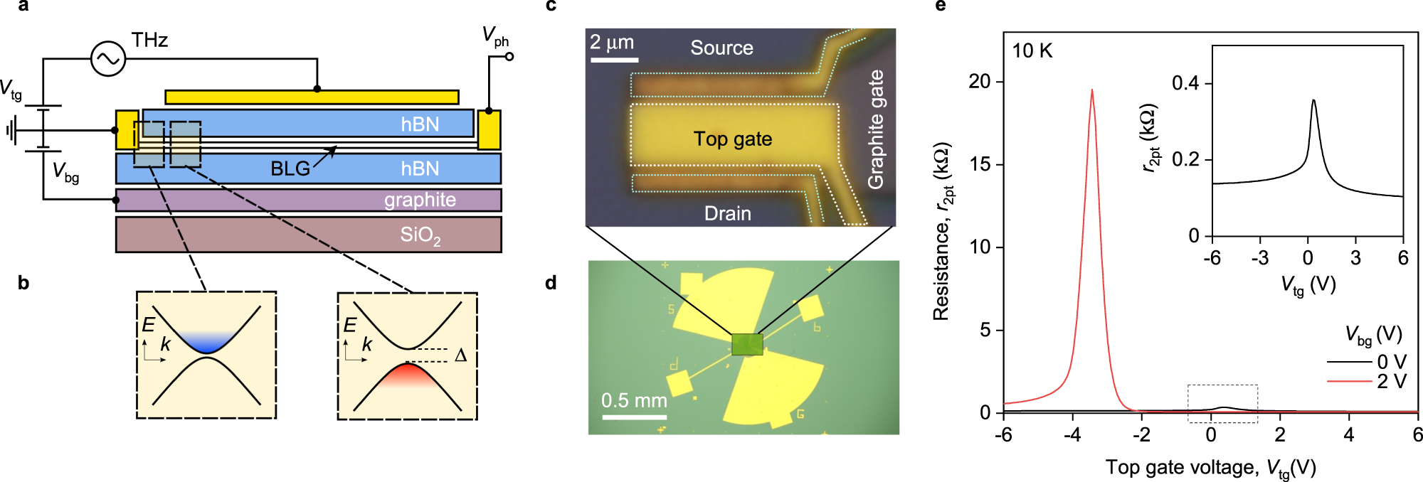 https://media.springernature.com/full/springer-static/image/art%3A10.1038%2Fs41467-020-20721-z/MediaObjects/41467_2020_20721_Fig1_HTML.png