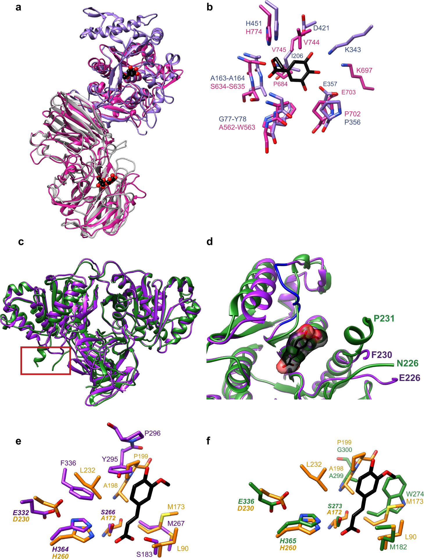 Fig. 5: Molecular structures of Bacteroides spp. esterases.